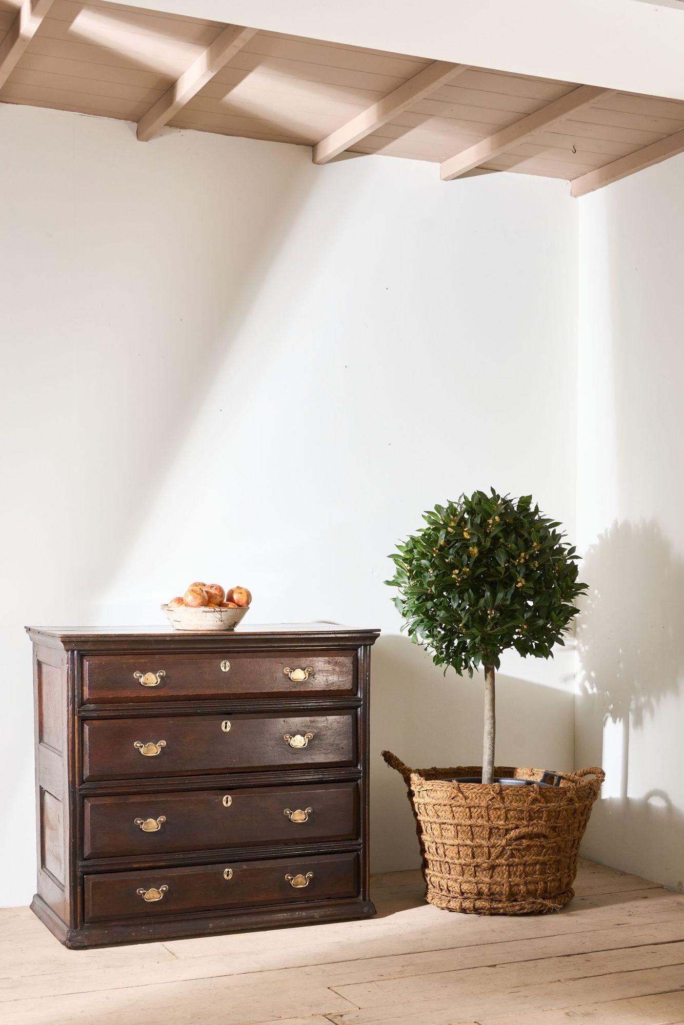 18th century Solid oak chest of drawers in vendita 7