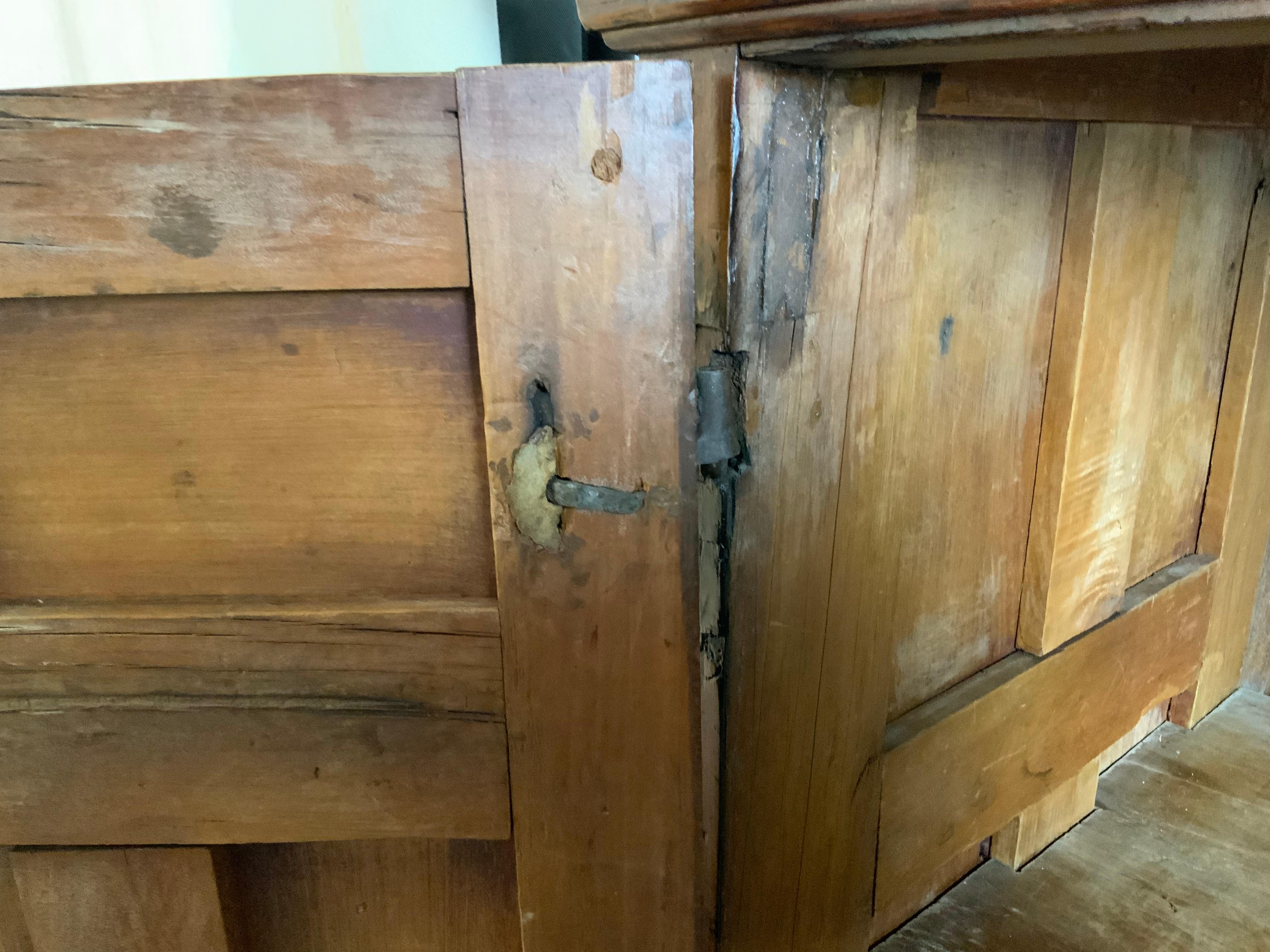 18th Century Spanish Colonial Paneled Cabinet For Sale 5