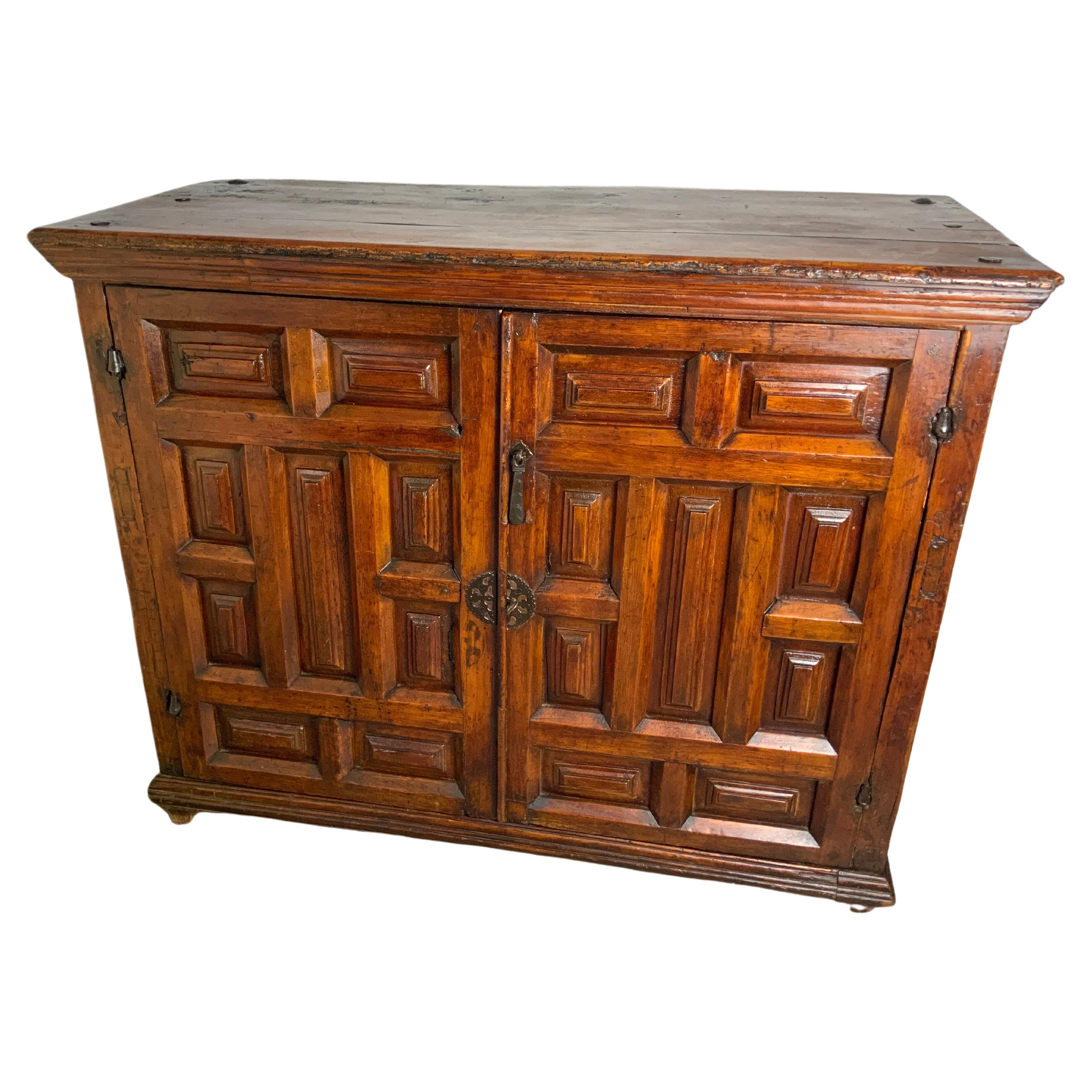 18th Century Spanish Colonial Paneled Cabinet For Sale