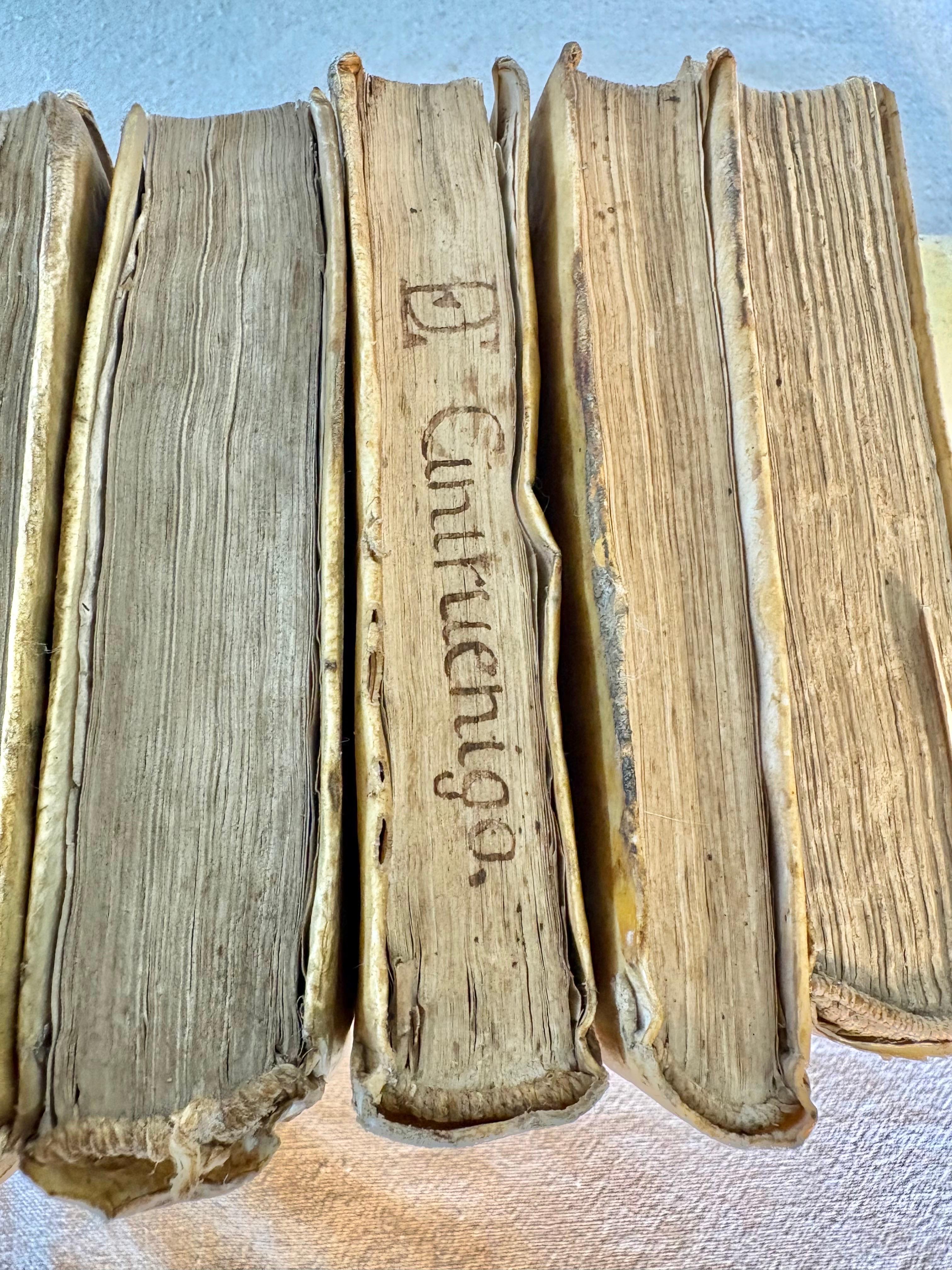 Livres en Vellum espagnols du 18ème siècle - Lot de seize en vente 3