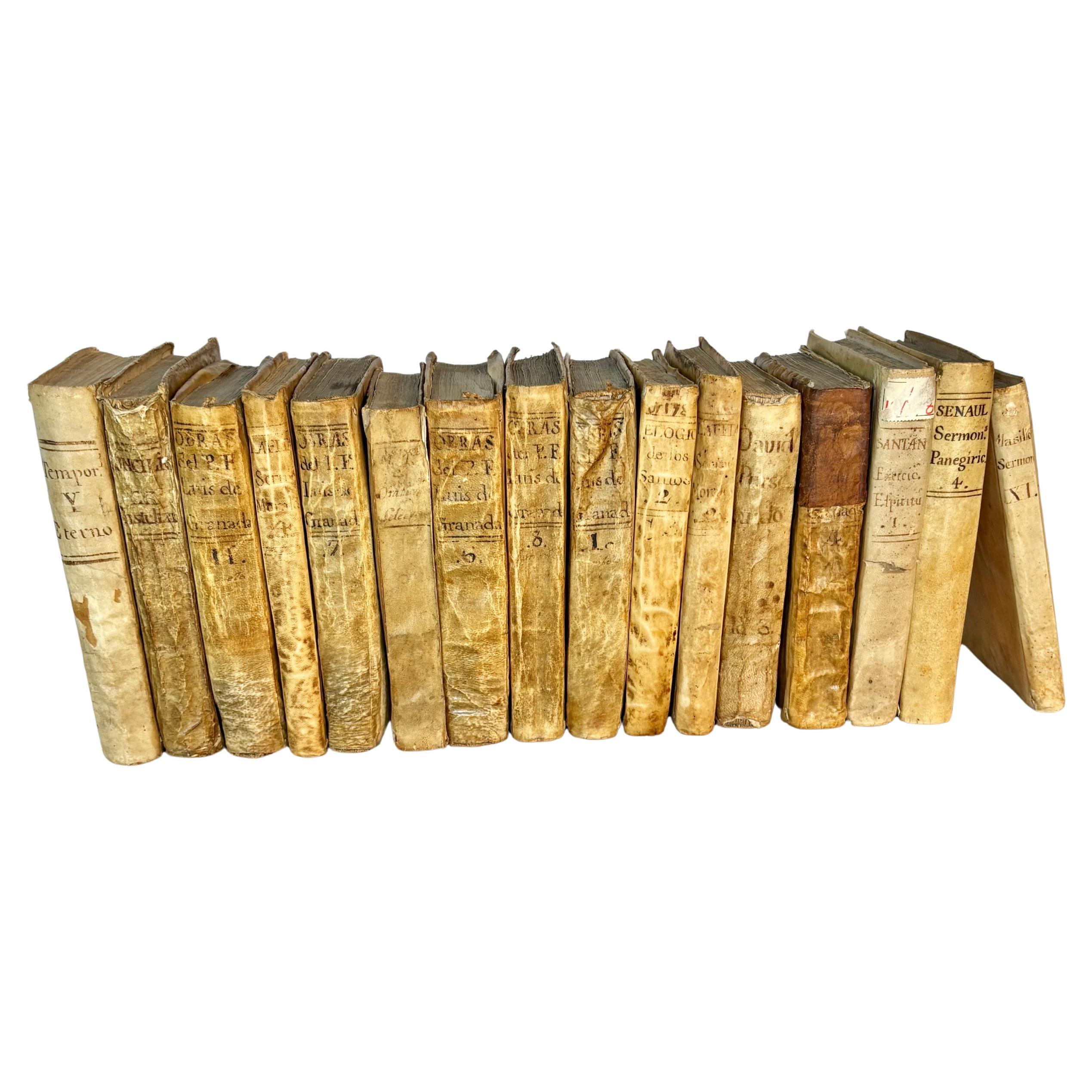 Trouvé en Espagne, cet ensemble de seize livres du XVIIIe siècle a été fabriqué en Vellum par des artisans espagnols à la fin des années 1700. Chaque livre présente une couverture et une reliure en peau d'animal de couleur crème, selon une technique