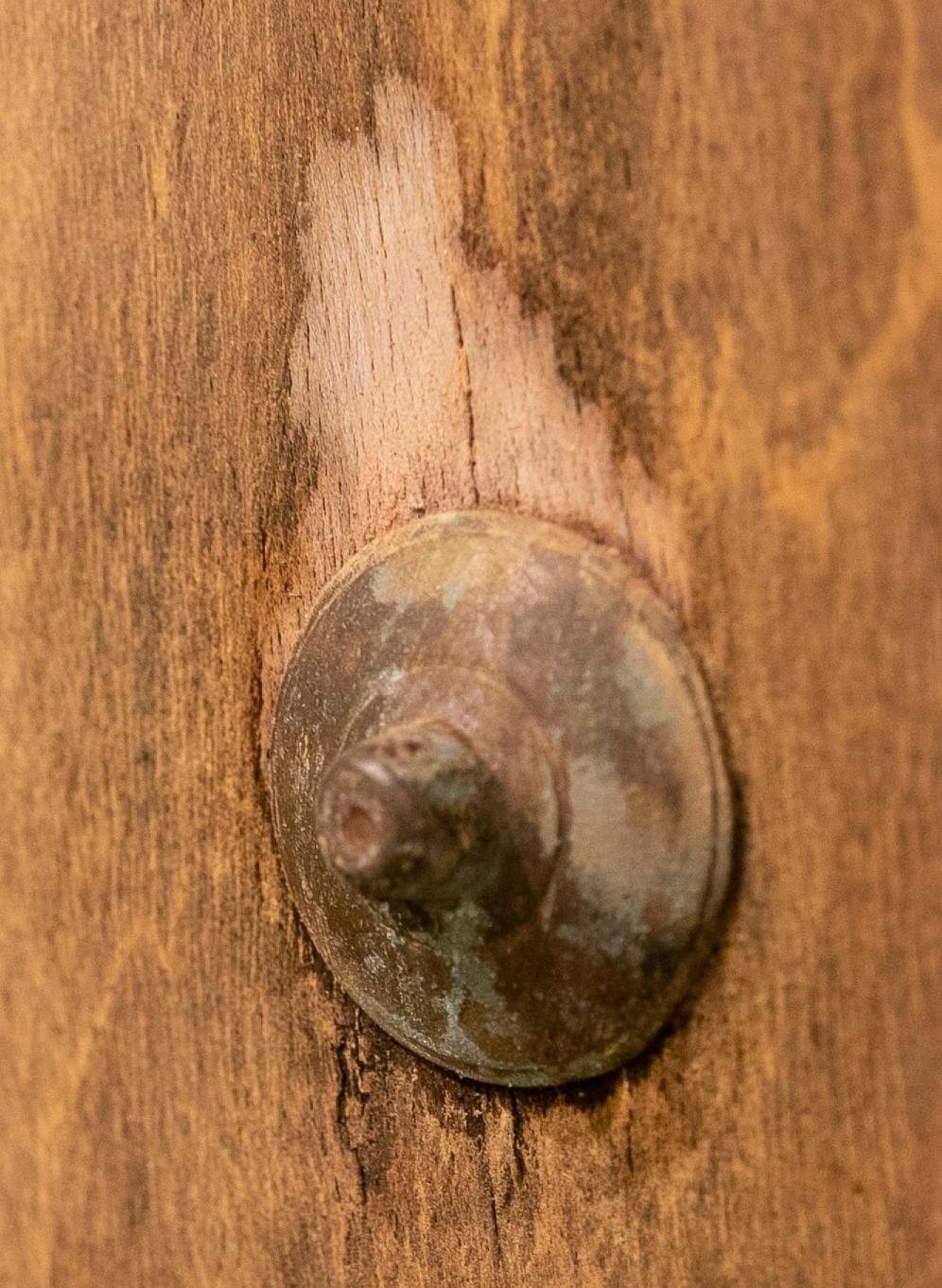 18th Century Spanish Wooden Door with Bronze Nail Decoration 14