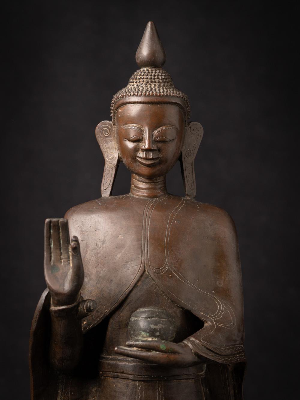 Sondere antike burmesische Shan-Buddha-Statue aus Bronze aus Burma aus dem 18. Jahrhundert im Angebot 1