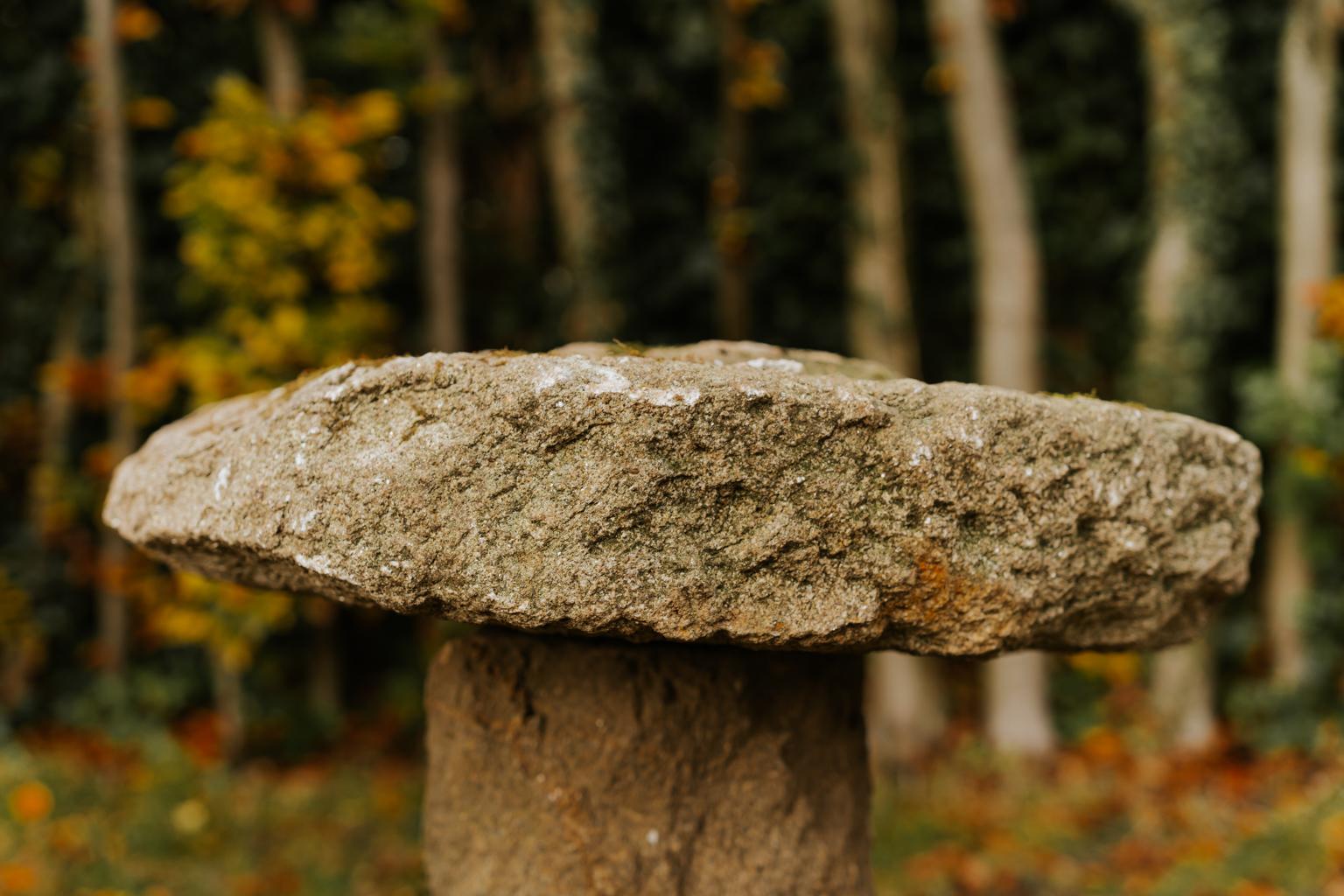 18th Century Staddle Stones from Galicia or Spain  3