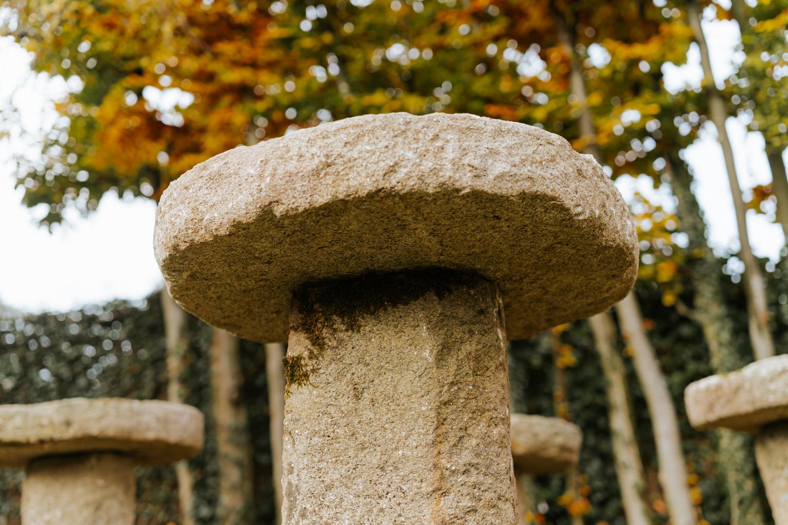 18th Century Staddle Stones from Galicia or Spain  6