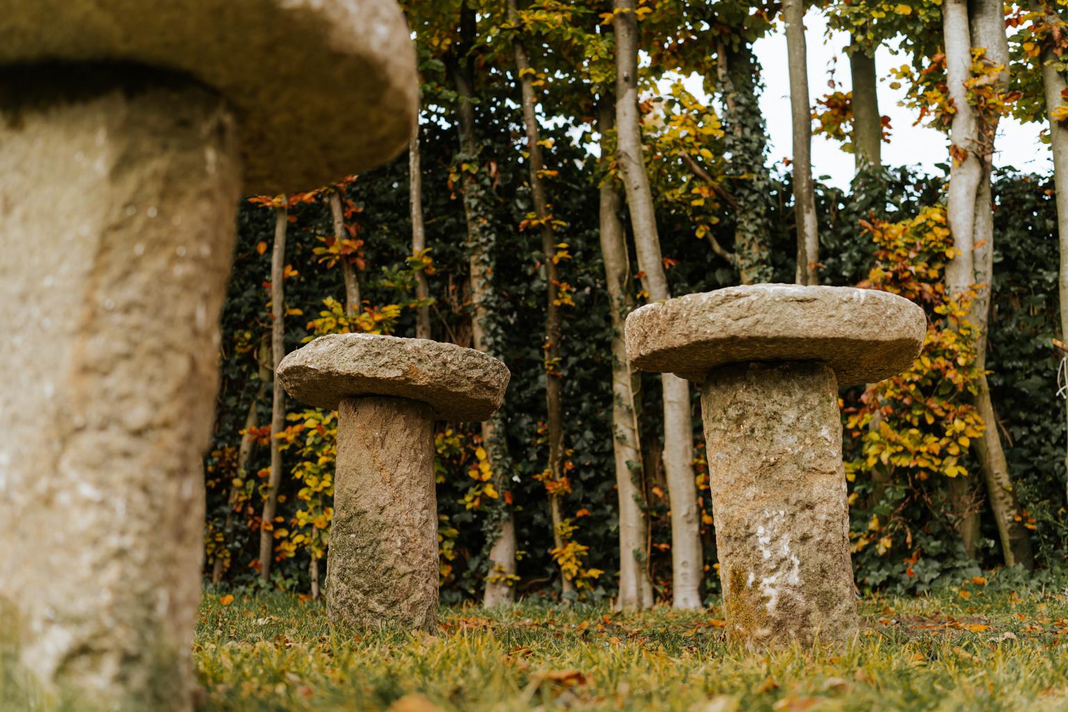 18th Century Staddle Stones from Galicia or Spain  7