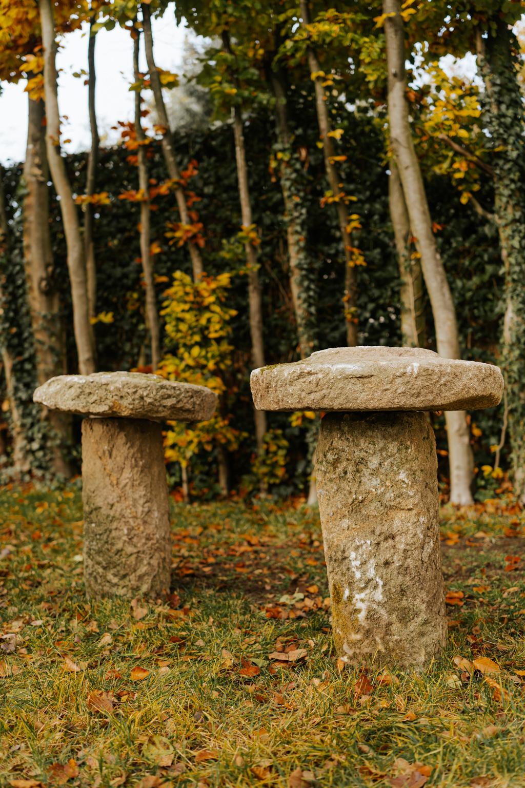 Spanish 18th Century Staddle Stones from Galicia or Spain 