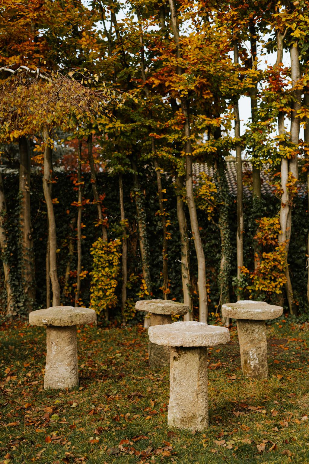 18th Century Staddle Stones from Galicia or Spain In Distressed Condition In Brecht, BE