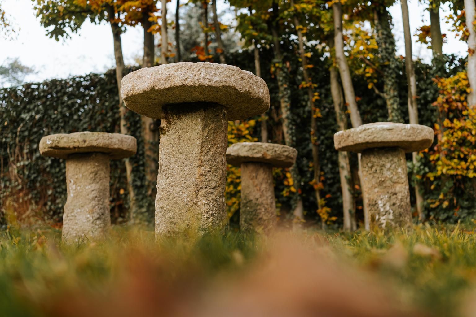 18th Century Staddle Stones from Galicia or Spain 2