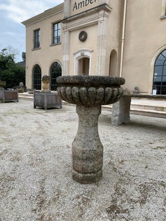Stein Pflanzgefäßbirdbath aus dem 18. Jahrhundert auf Colomn