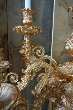 18th Century Style 11 arms Windsor Wall lamp in gold 24k