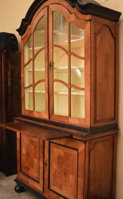 18th Century Swedish Walnut and Burled Elm Root Vitrine Cabinet with Glass Doors