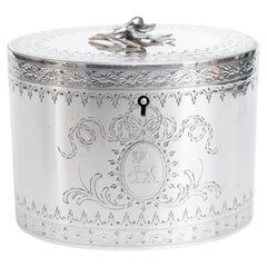 Cucharilla de té del siglo XVIII Plata de ley Londres Alexander Field Jorge III