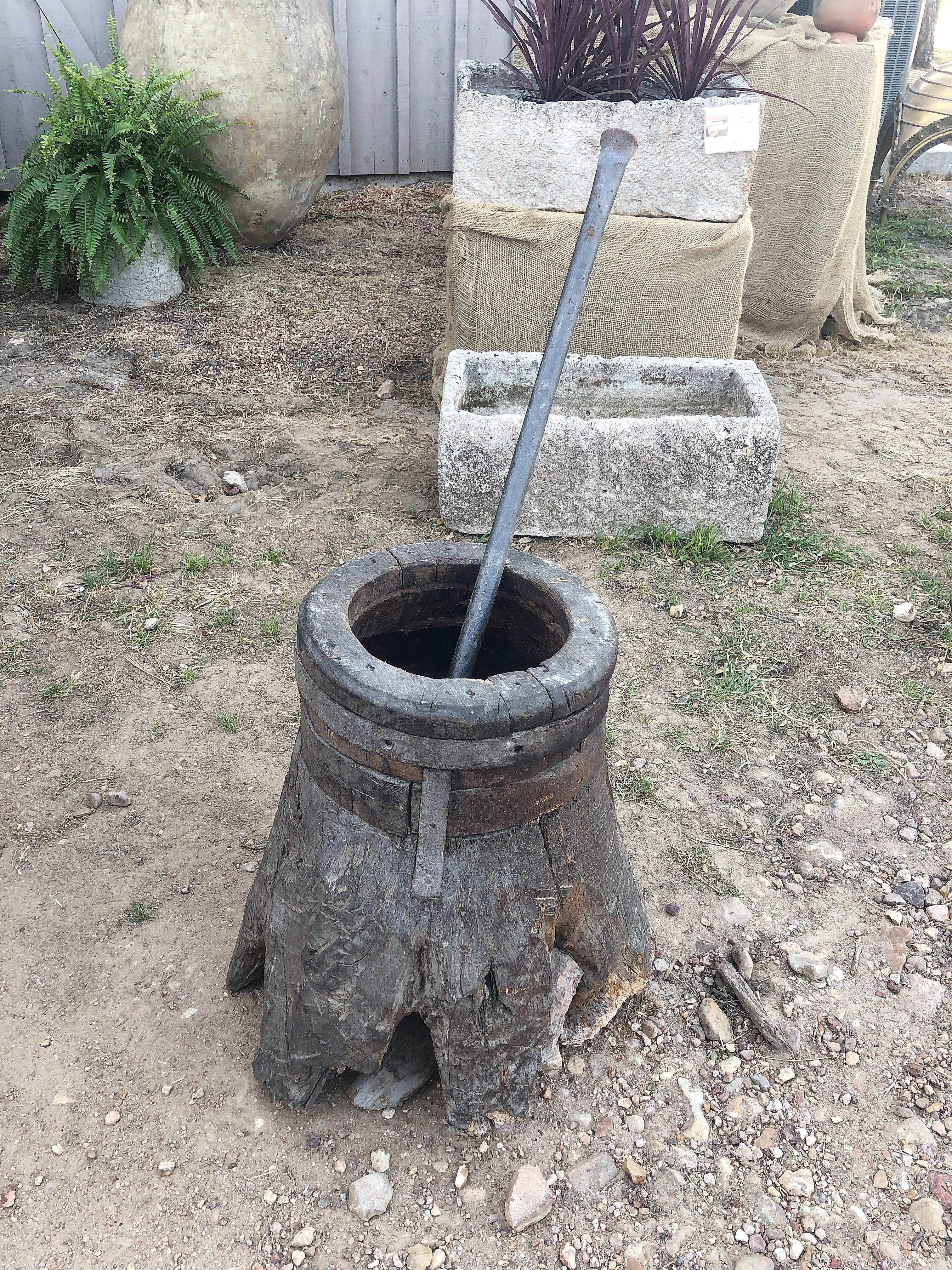 A striking large mortar carved from a full tree root and a hand-forged pestle. I've never seen an example with a complete tree root of this size. 
A wonderful and practical sculptural piece that will look terrific in a large kitchen or restaurant.