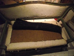 18th Century Venetian Hand-Painted Sofa