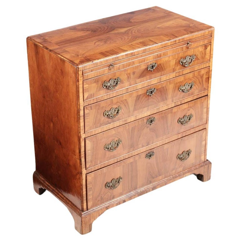 18th Century Walnut Bachelor's Chest For Sale at 1stDibs
