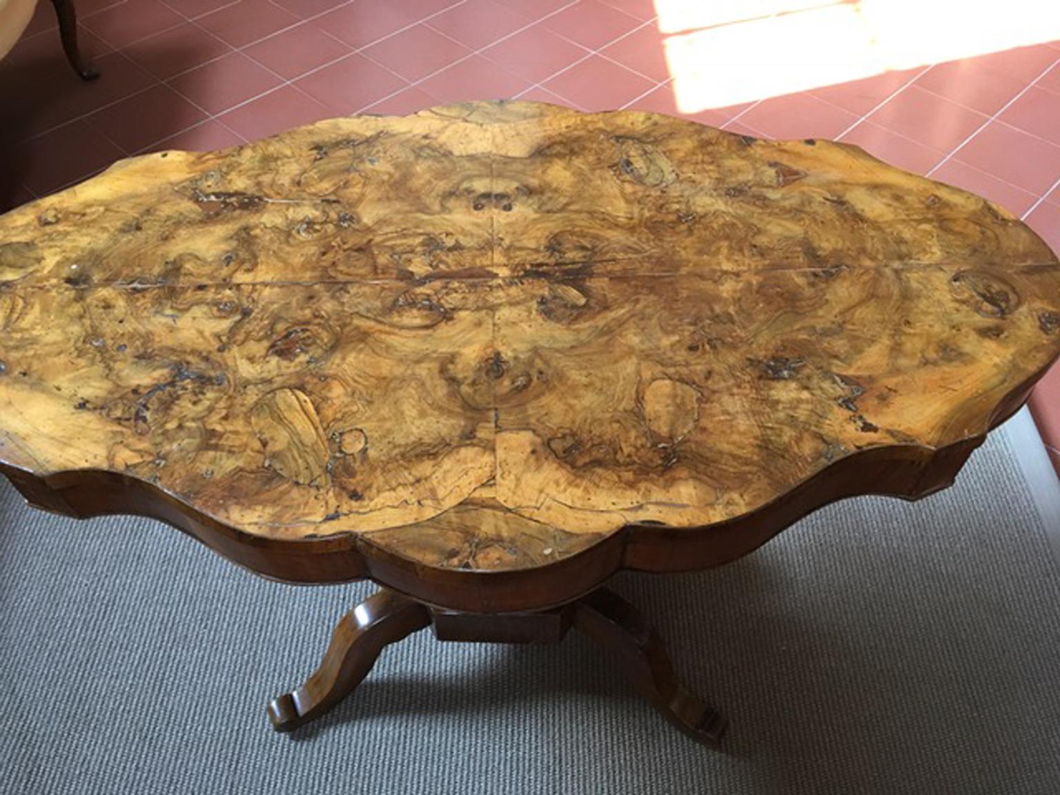 Italy 18th Century Regency Walnut Briar Root Oval Table For Sale 10