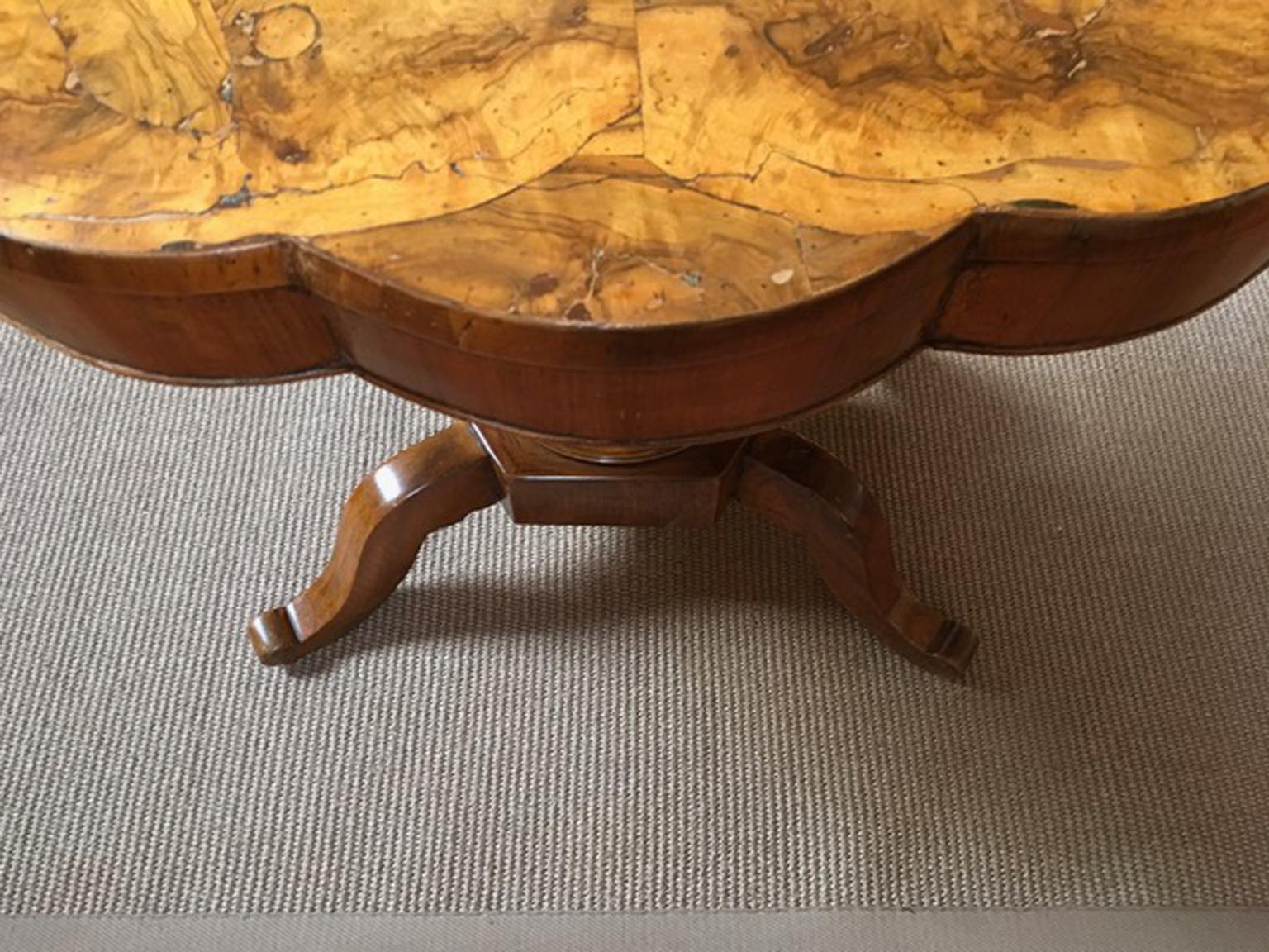 Italy 18th Century Regency Walnut Briar Root Oval Table In Good Condition For Sale In Brescia, IT