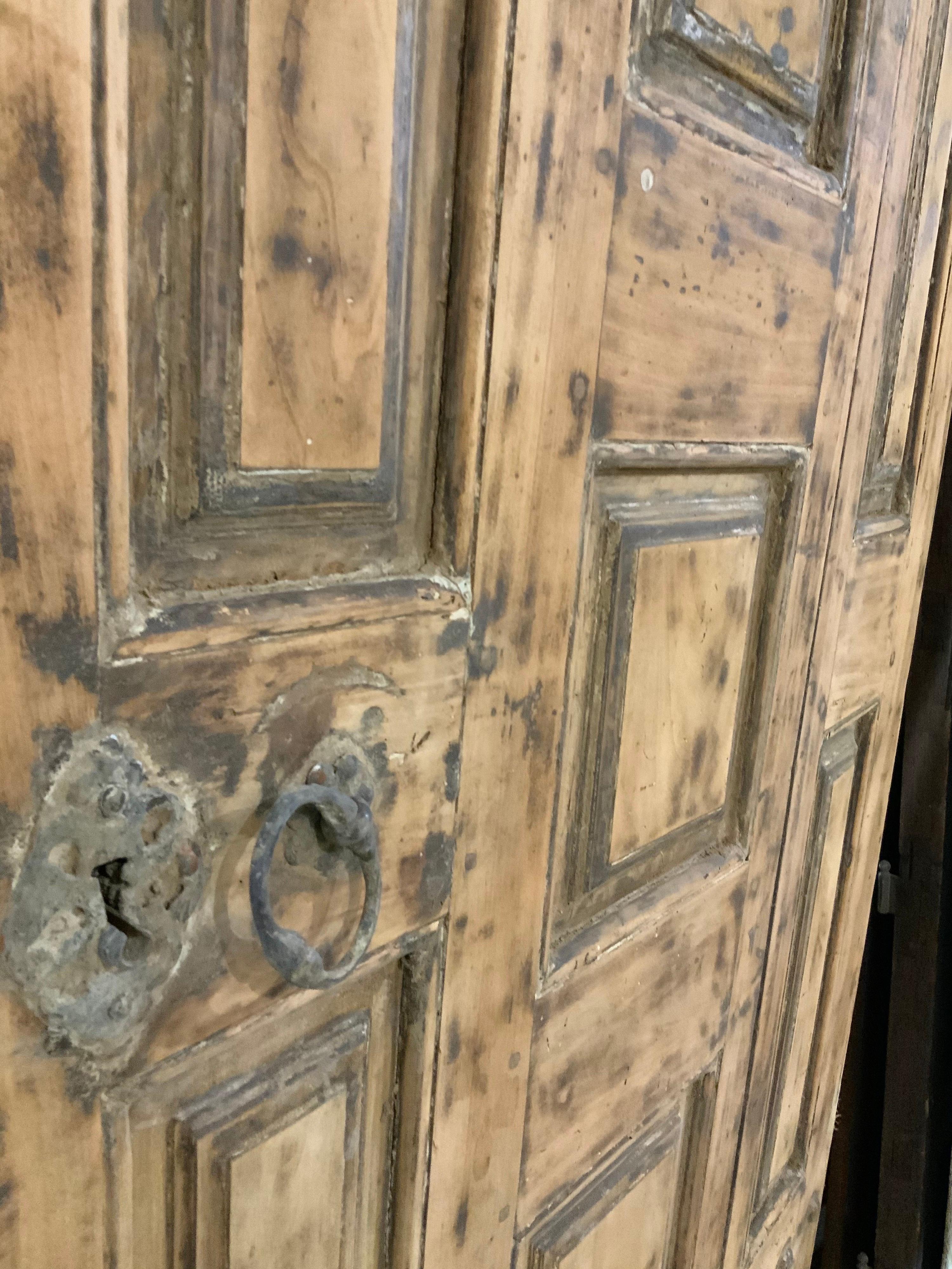 French 18th Century Walnut Door from France