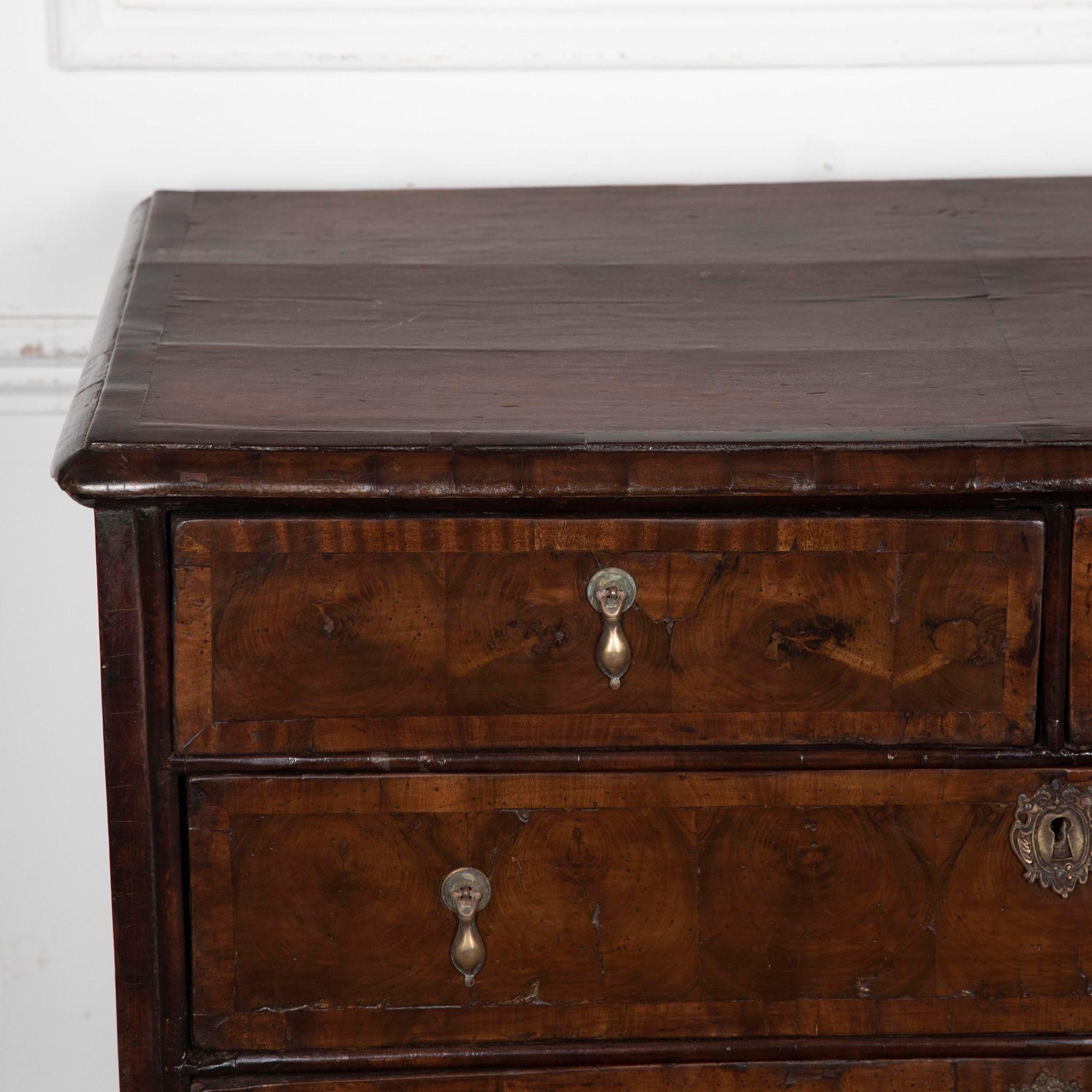 18th Century Walnut Oyster Chest of Drawers For Sale 1