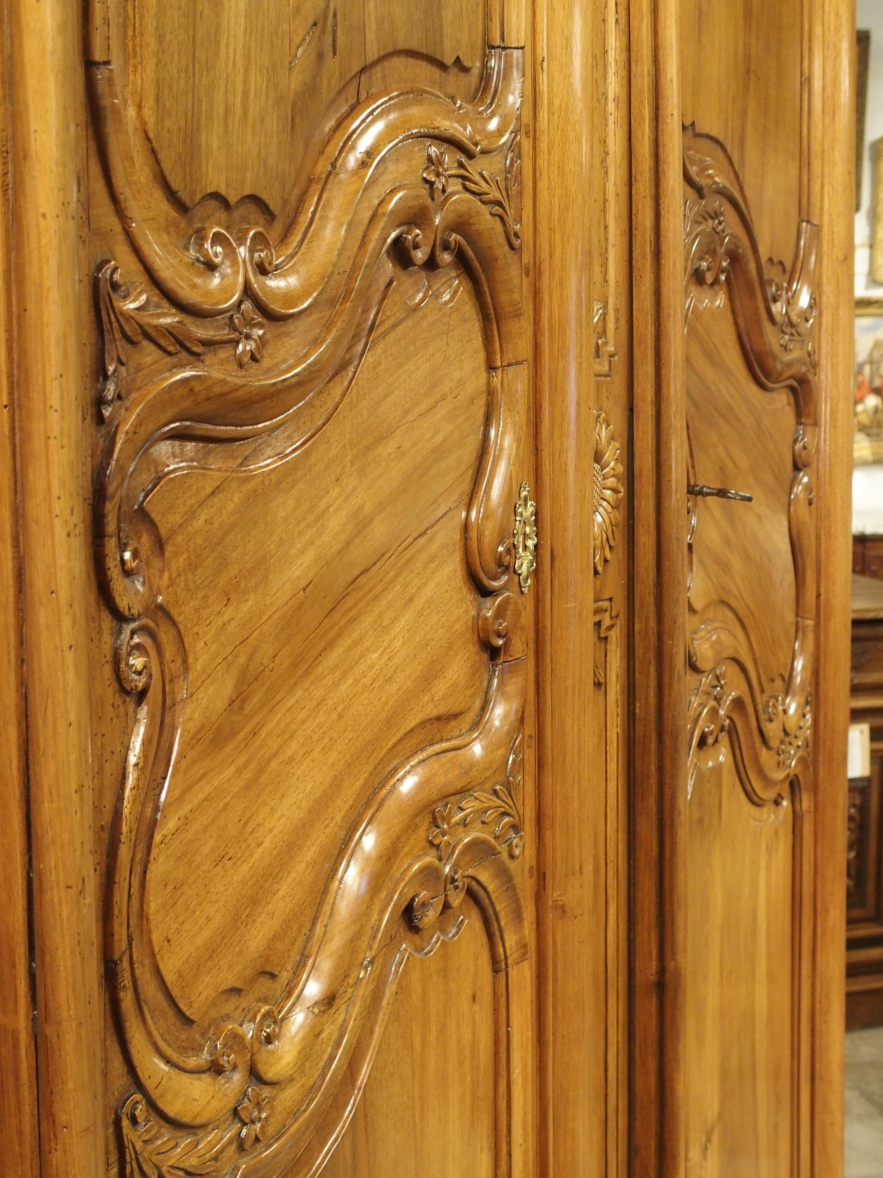 18th Century Walnut Wood Armoire from the Rhone Valley 10