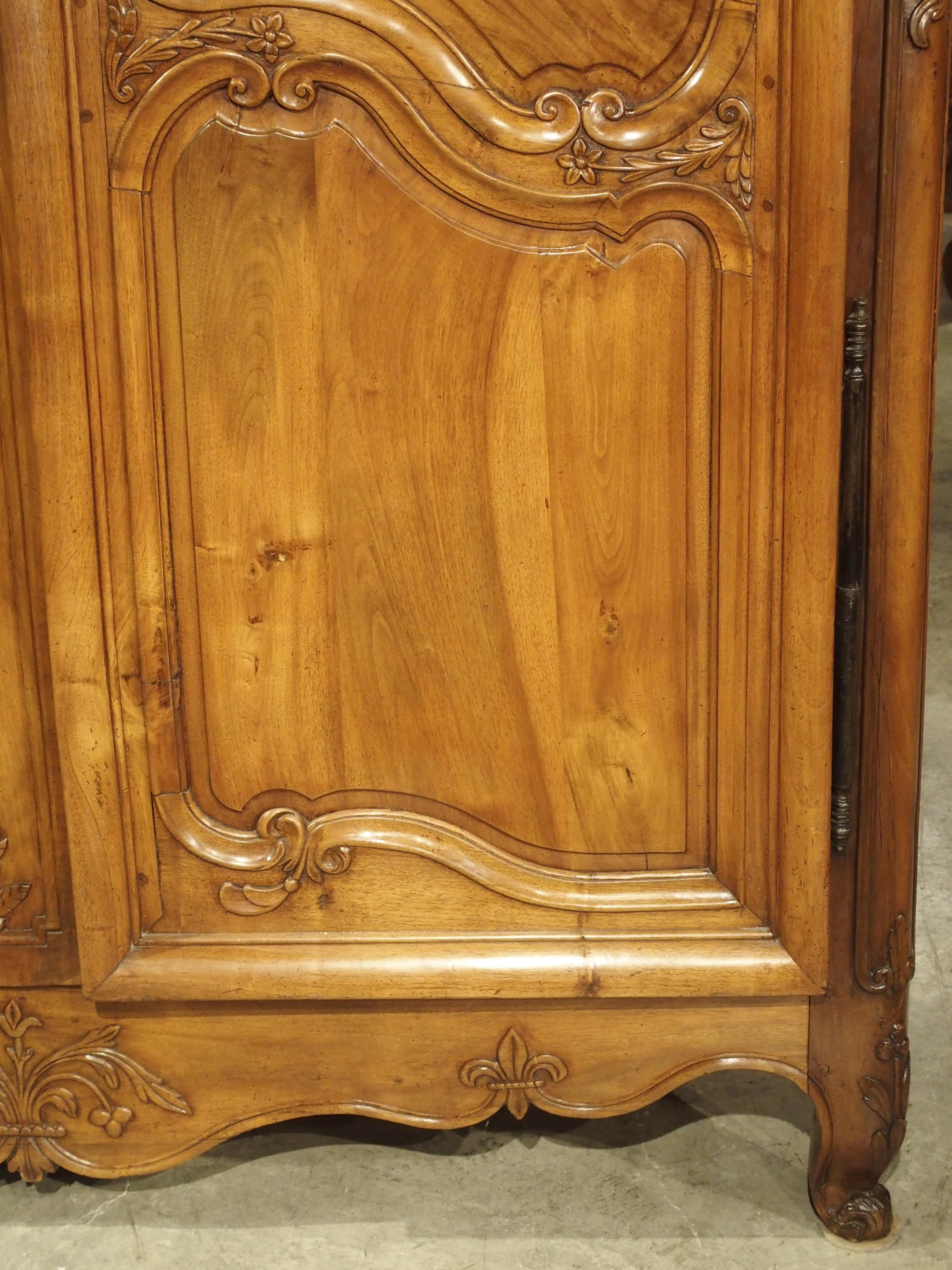 18th Century Walnut Wood Armoire from the Rhone Valley 1