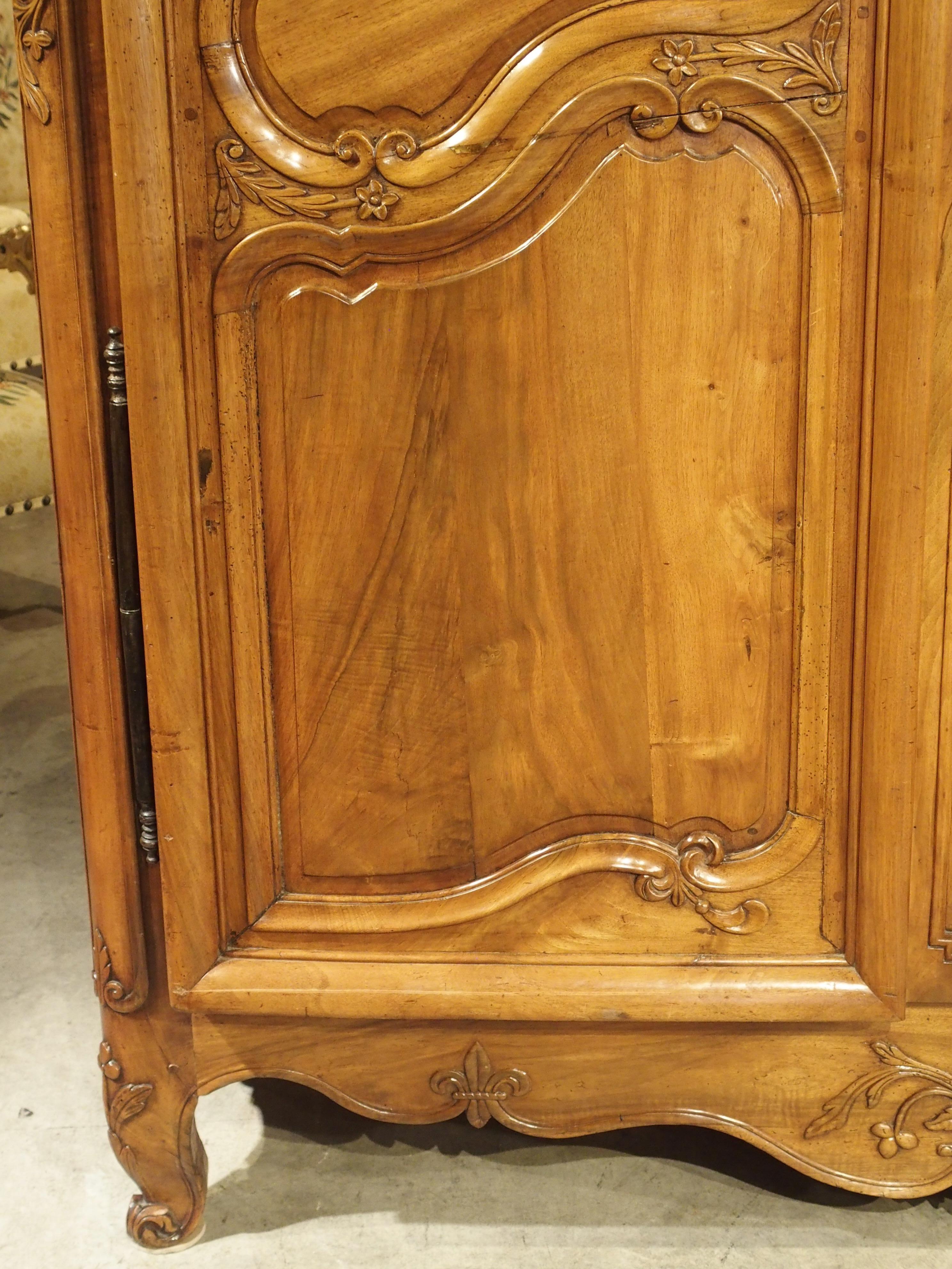 18th Century Walnut Wood Armoire from the Rhone Valley 2