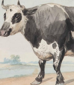 Peinture à l'aquarelle du 18e siècle d'un taureau frison par Aert Schouman