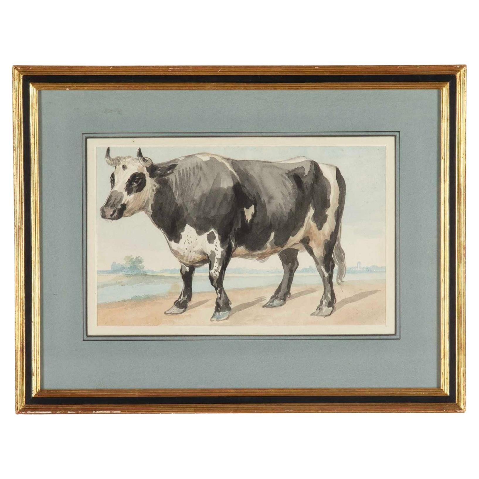 18th Century Watercolour Painting of a Friesian Bull by Aert Schouman