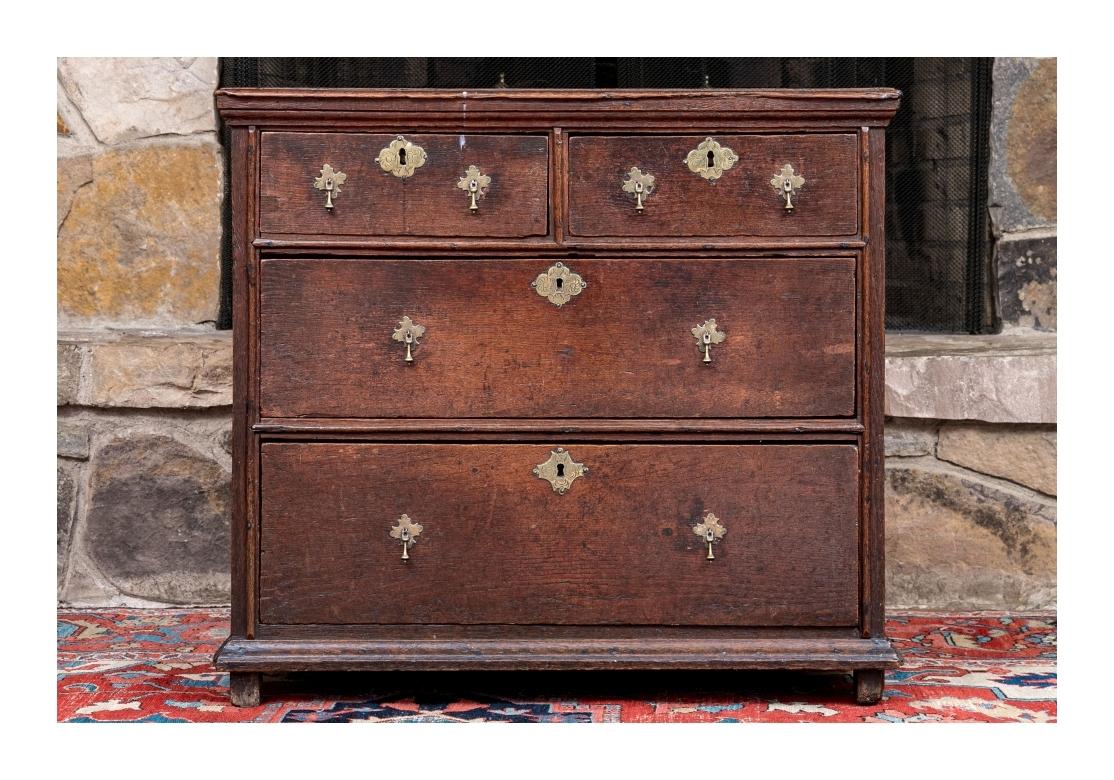 18th Century William And Mary Style Two-Over-Two Oak Hall Chest 11