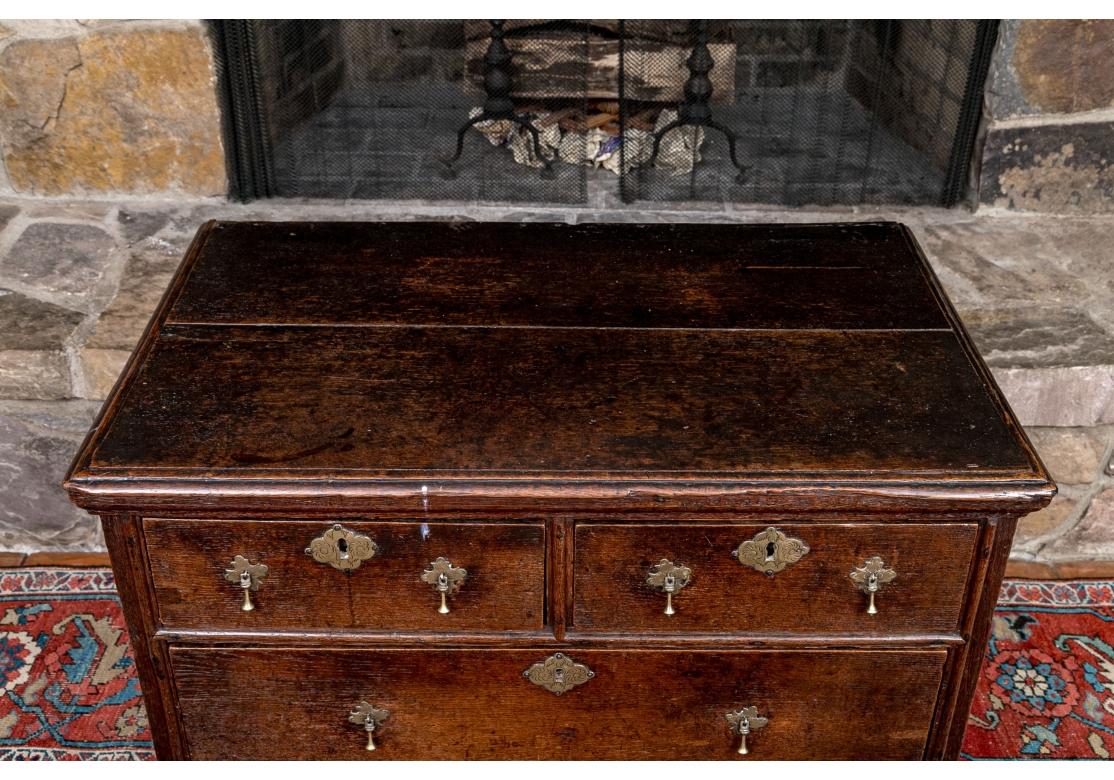 William and Mary 18th Century William And Mary Style Two-Over-Two Oak Hall Chest