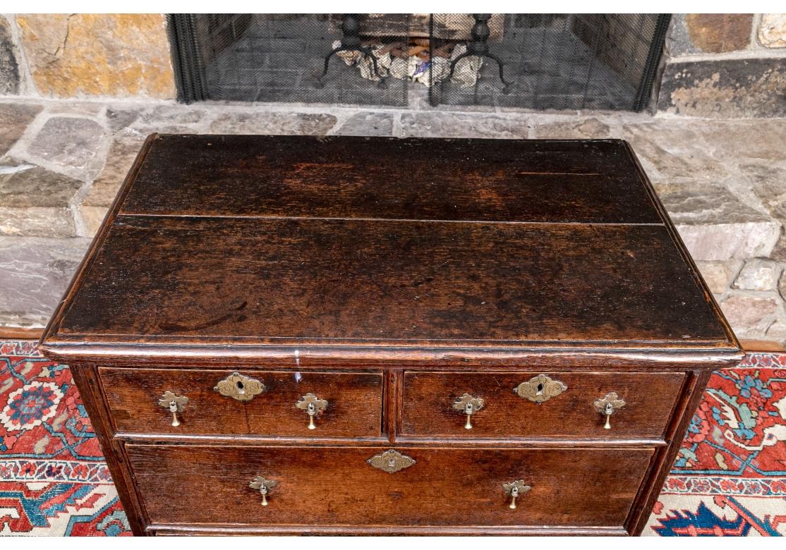 18th Century and Earlier 18th Century William And Mary Style Two-Over-Two Oak Hall Chest