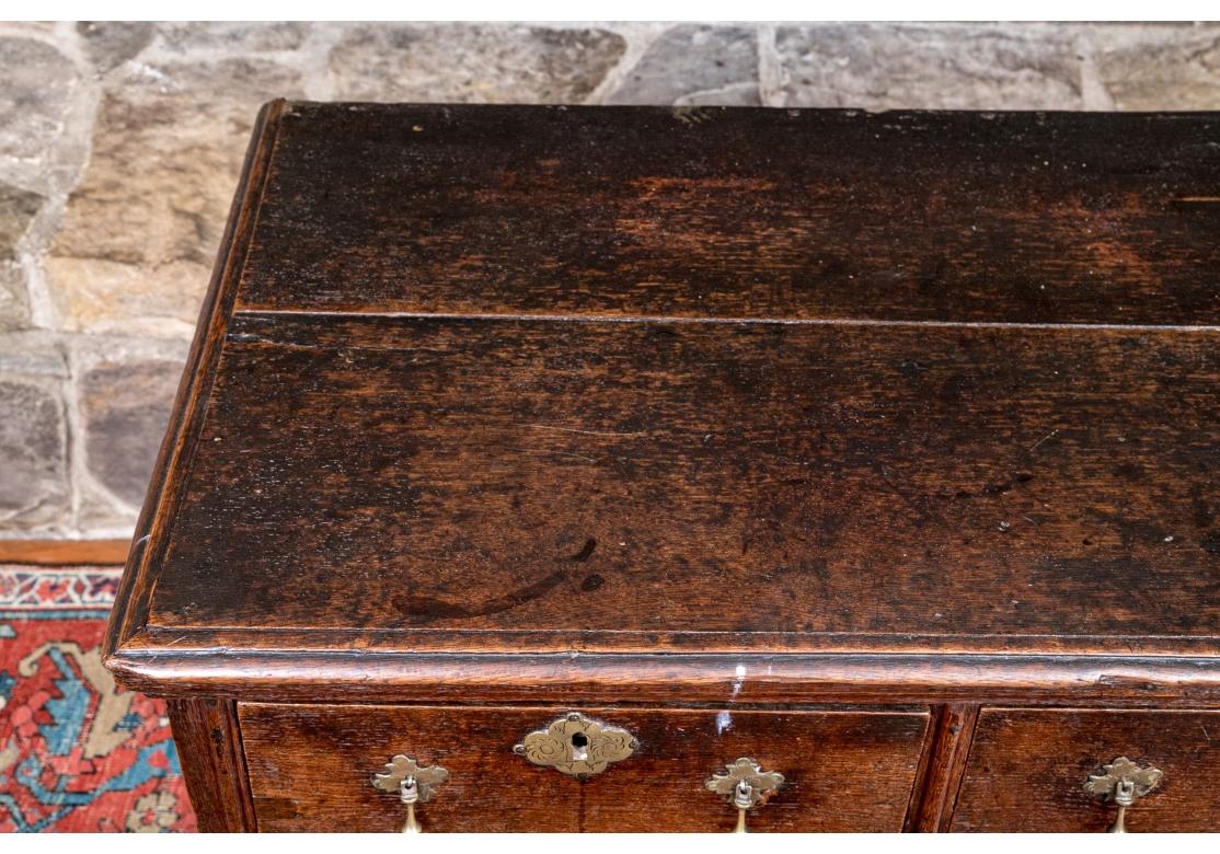 18th Century William And Mary Style Two-Over-Two Oak Hall Chest 1