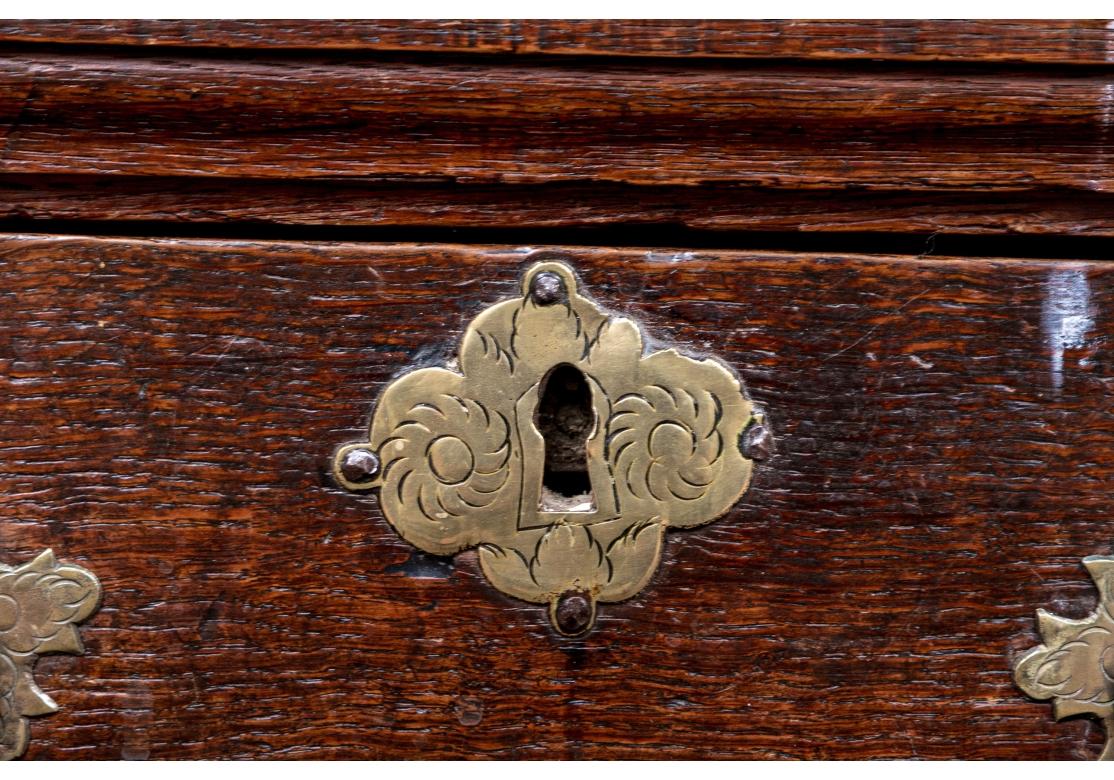 18th Century William And Mary Style Two-Over-Two Oak Hall Chest 2