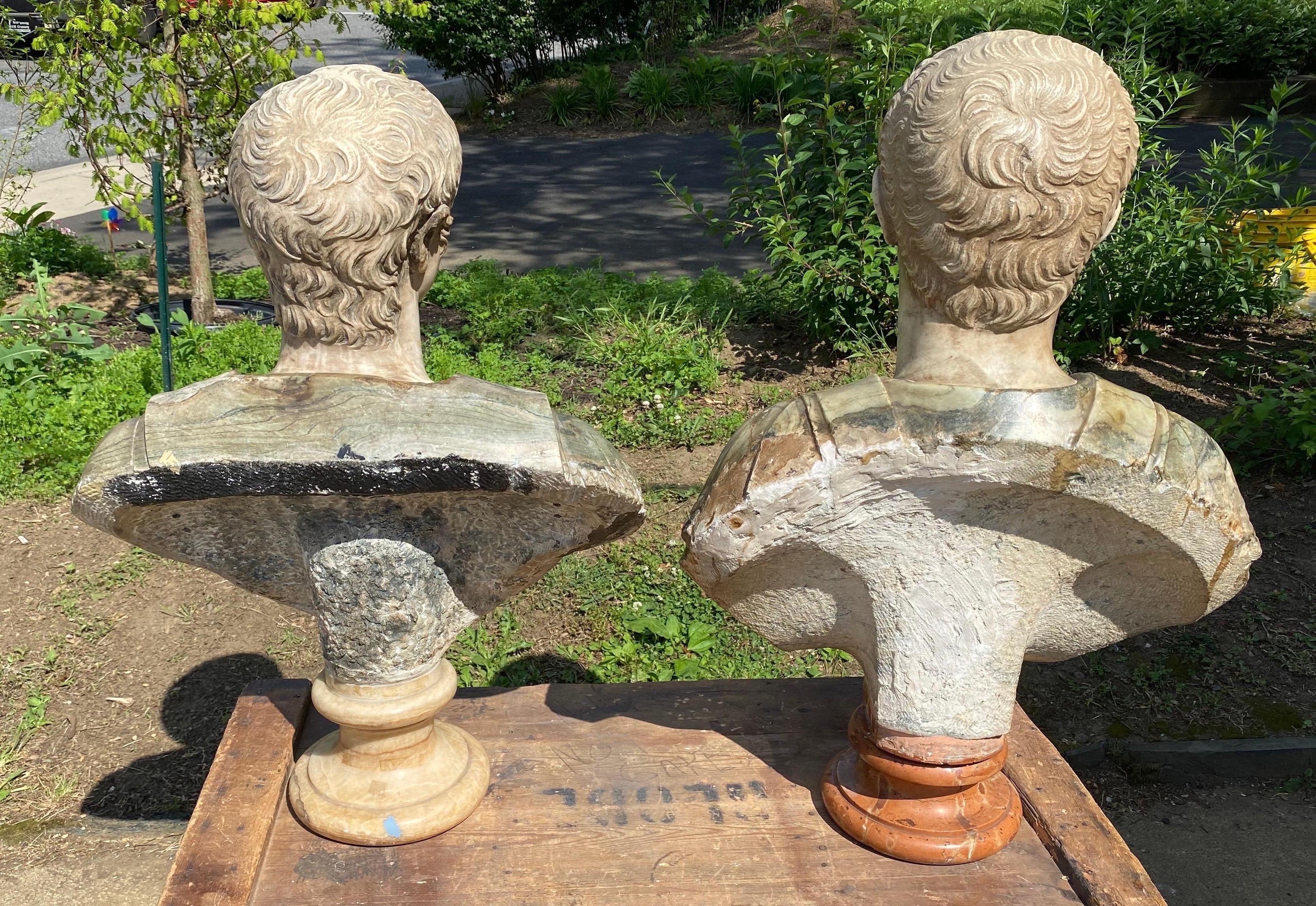 19th Century Italian Neoclassical Style Specimen Marble Busts of Caesars For Sale 6