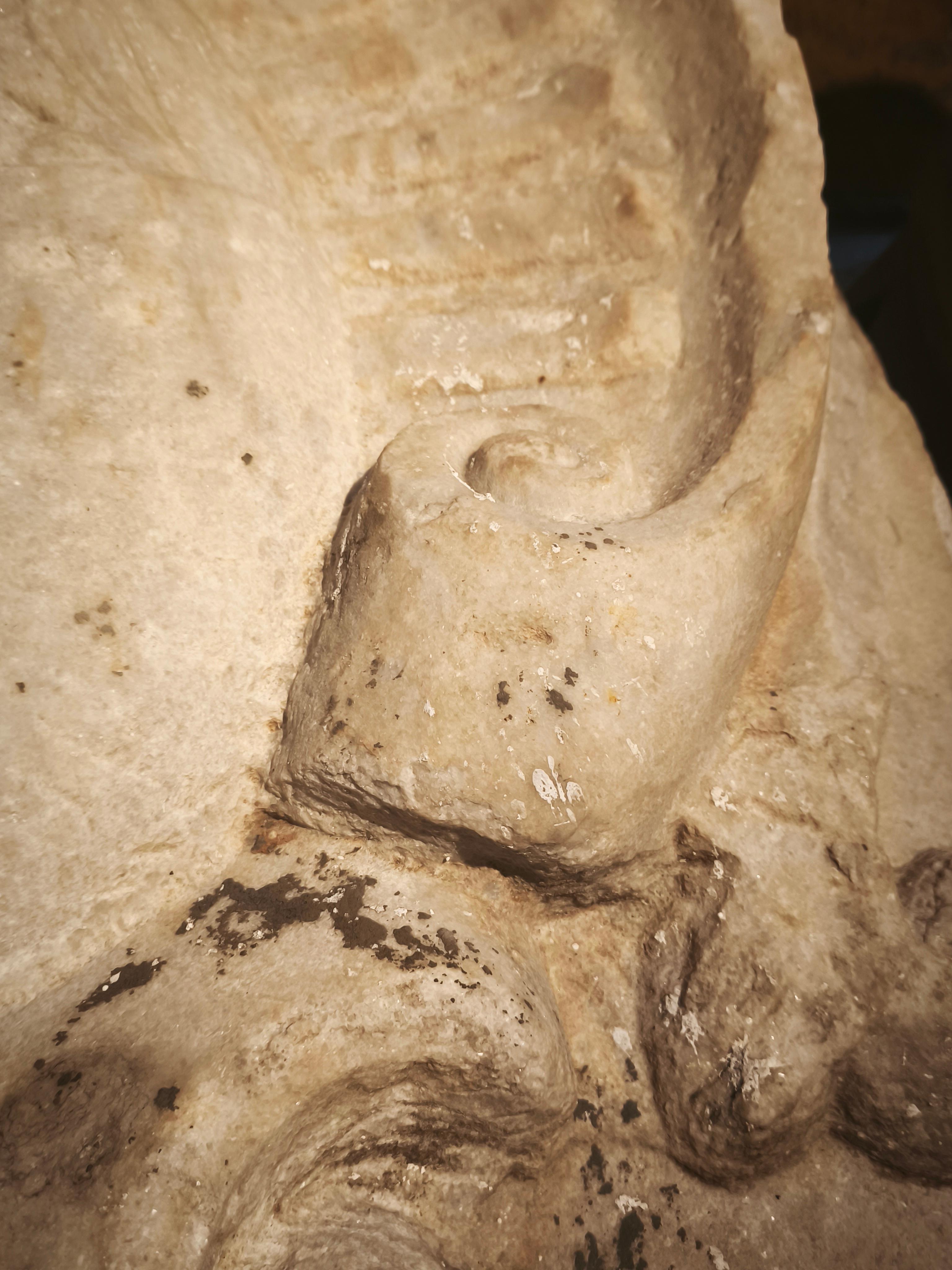 18th Heraldic Shield in Carved Limestone For Sale 5