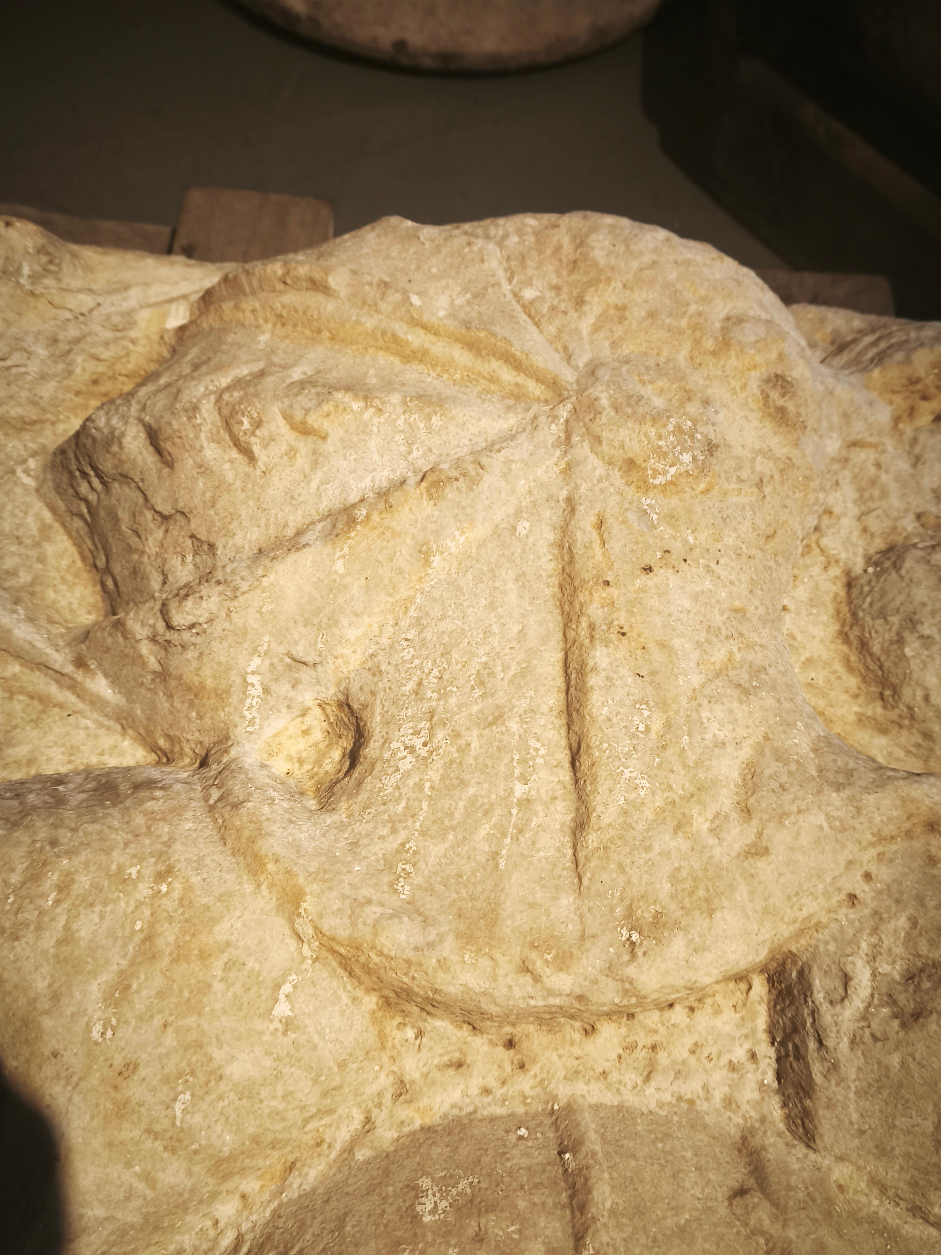 18th Heraldic Shield in Carved Limestone For Sale 8