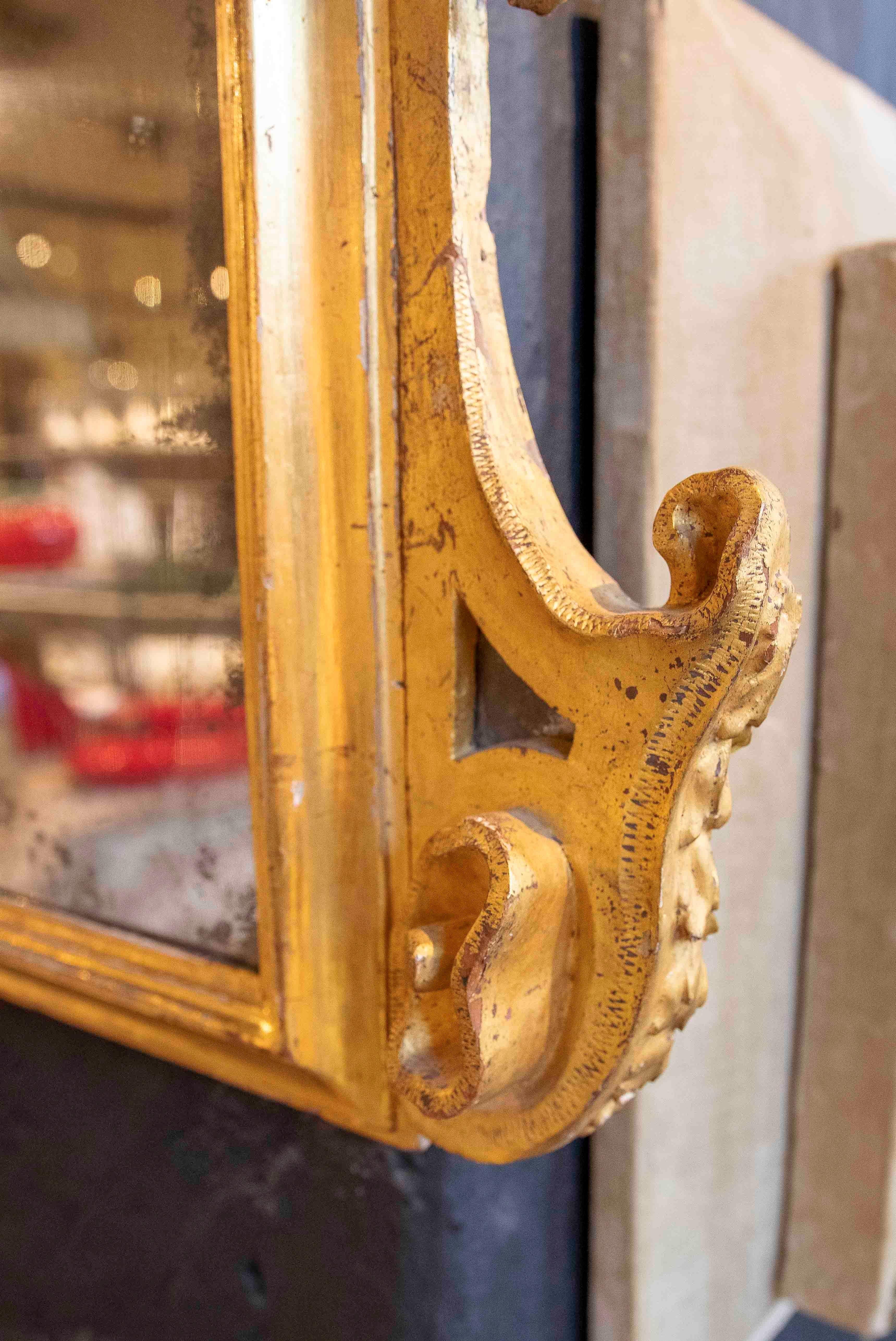 18th Italian Rococo Mirror in Carved and Gilded Wood with Rocaille Trim For Sale 1