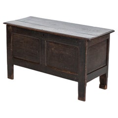 Antique 18thC English Primitive Oak Carved Panelled Coffer