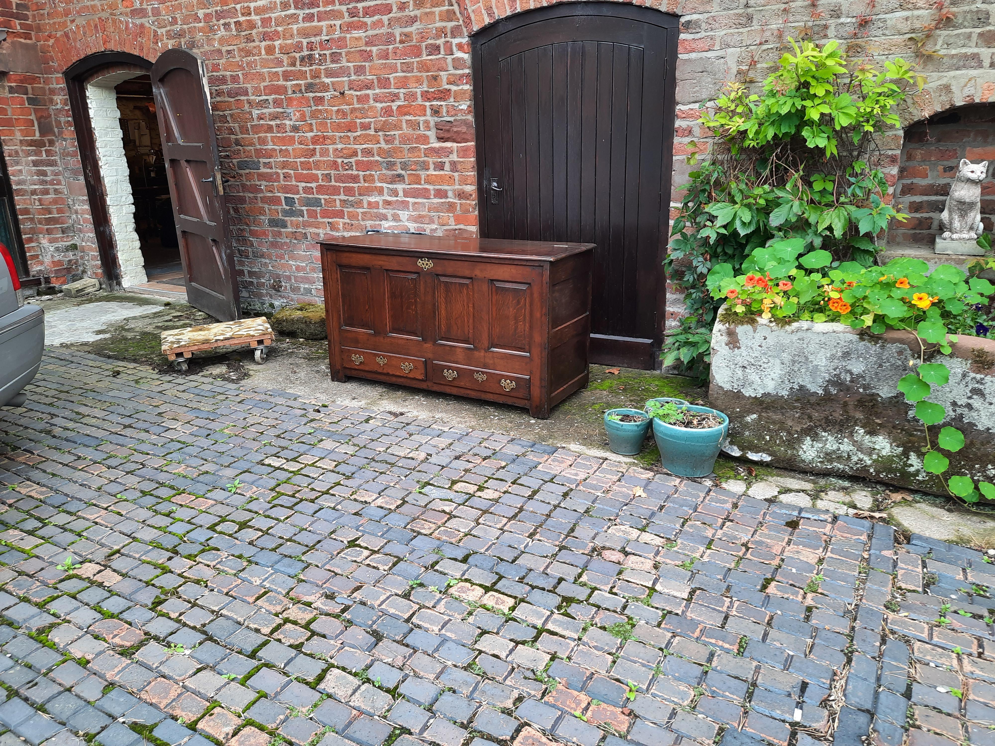 18thC Oak Lancashire Mule Chest with Panelled Front and Sides Two with Brass Handles and a Lift up Lid Blanket Chest 58
