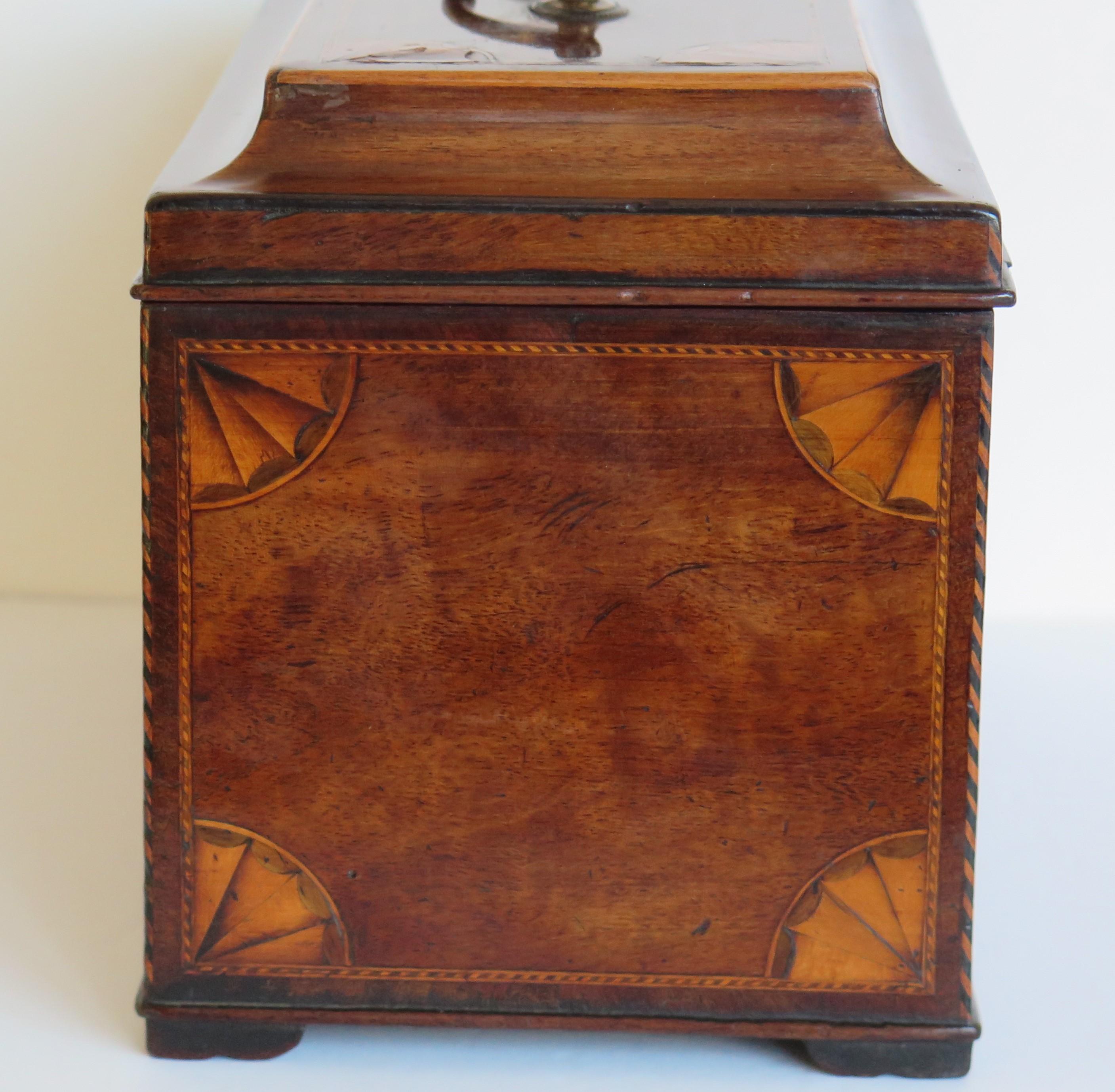 Georgian Sheraton Period Tea Caddy finely Inlaid, English circa 1780 For Sale 3