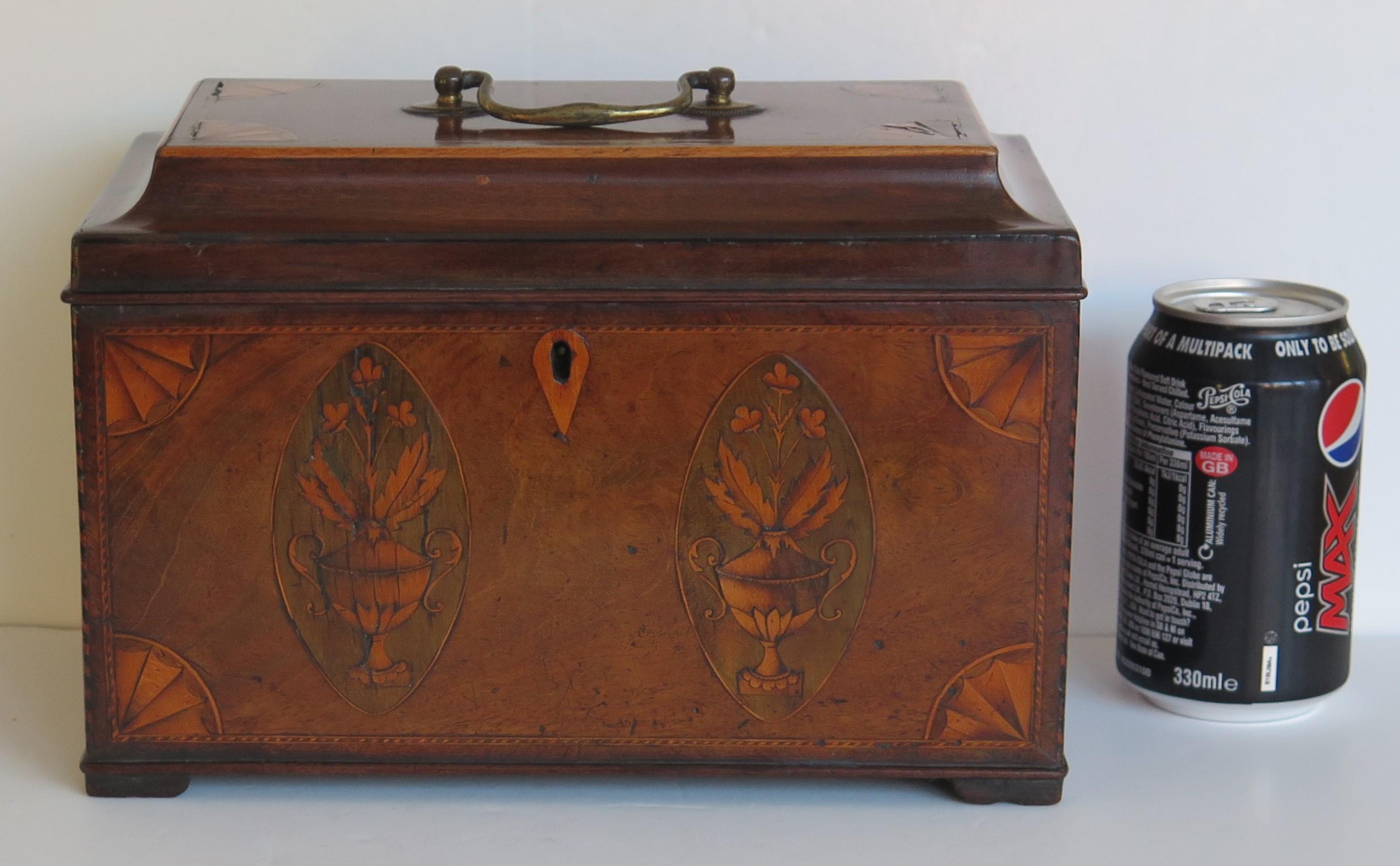 Georgian Sheraton Period Tea Caddy finely Inlaid, English circa 1780 For Sale 10