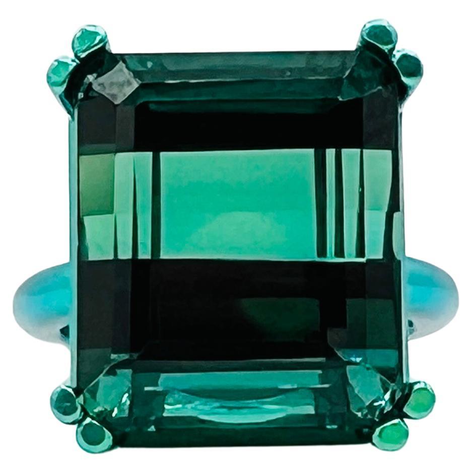 19 Carat Green Tourmaline Emerald Cut Ring in Titanium For Sale