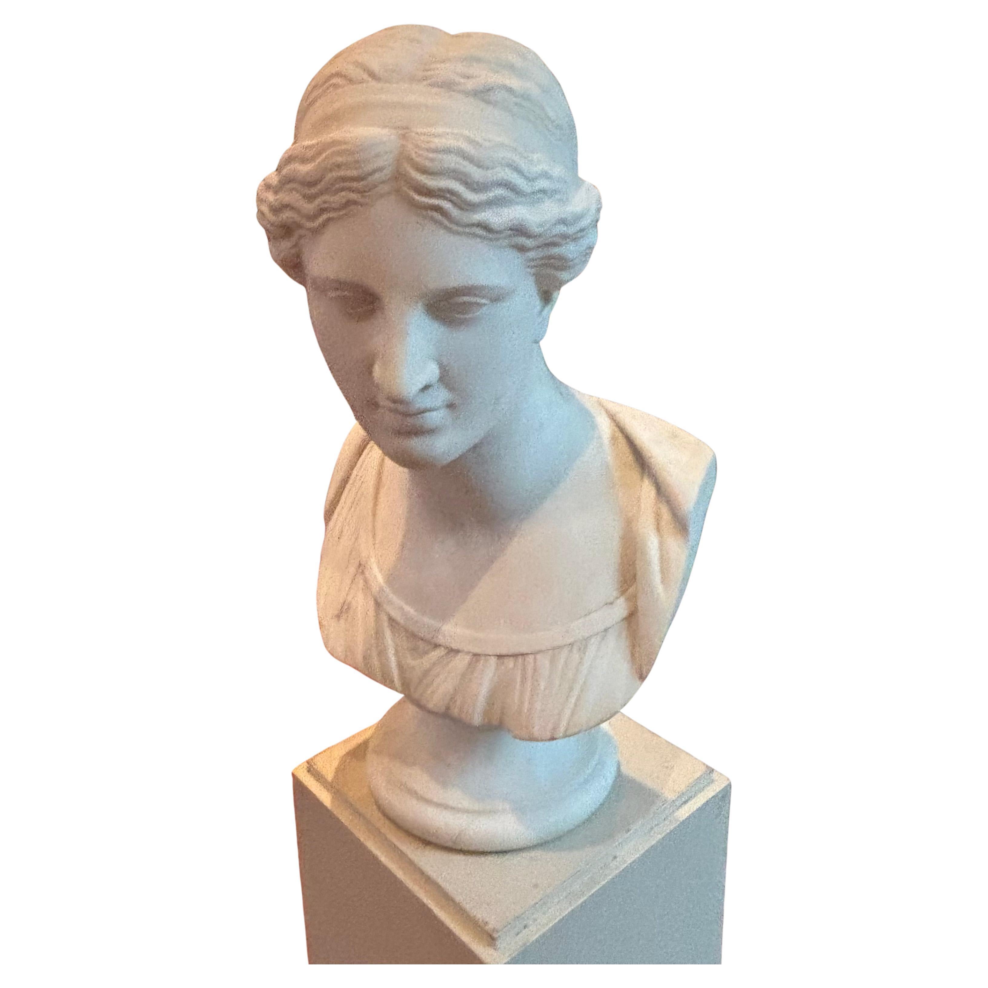 19 Century Grand Tour Marble Bust of "Venus de Milo" after the Antique