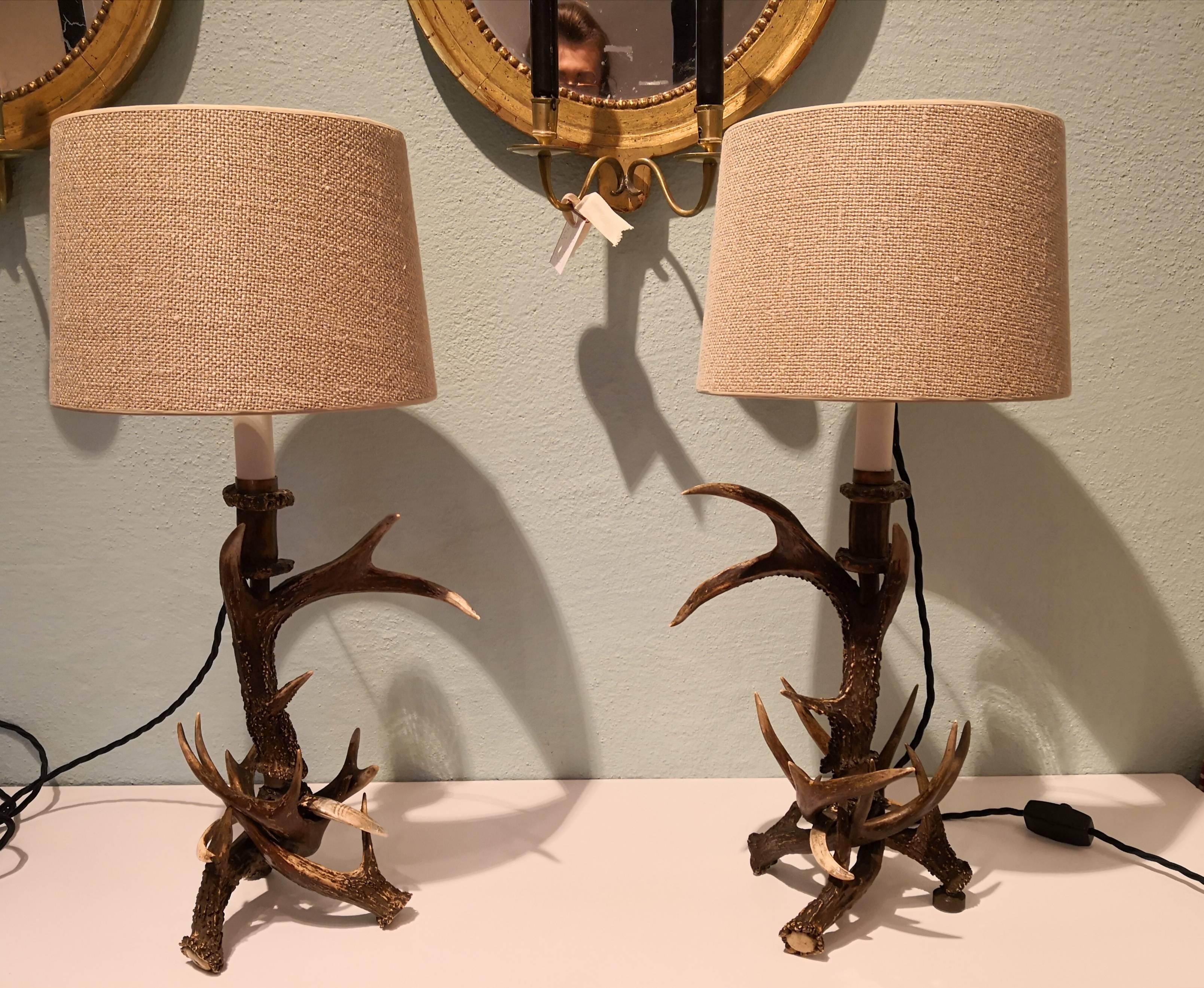 19th Century Black Forest Pair of Table Lamps with Antlers Germany 5
