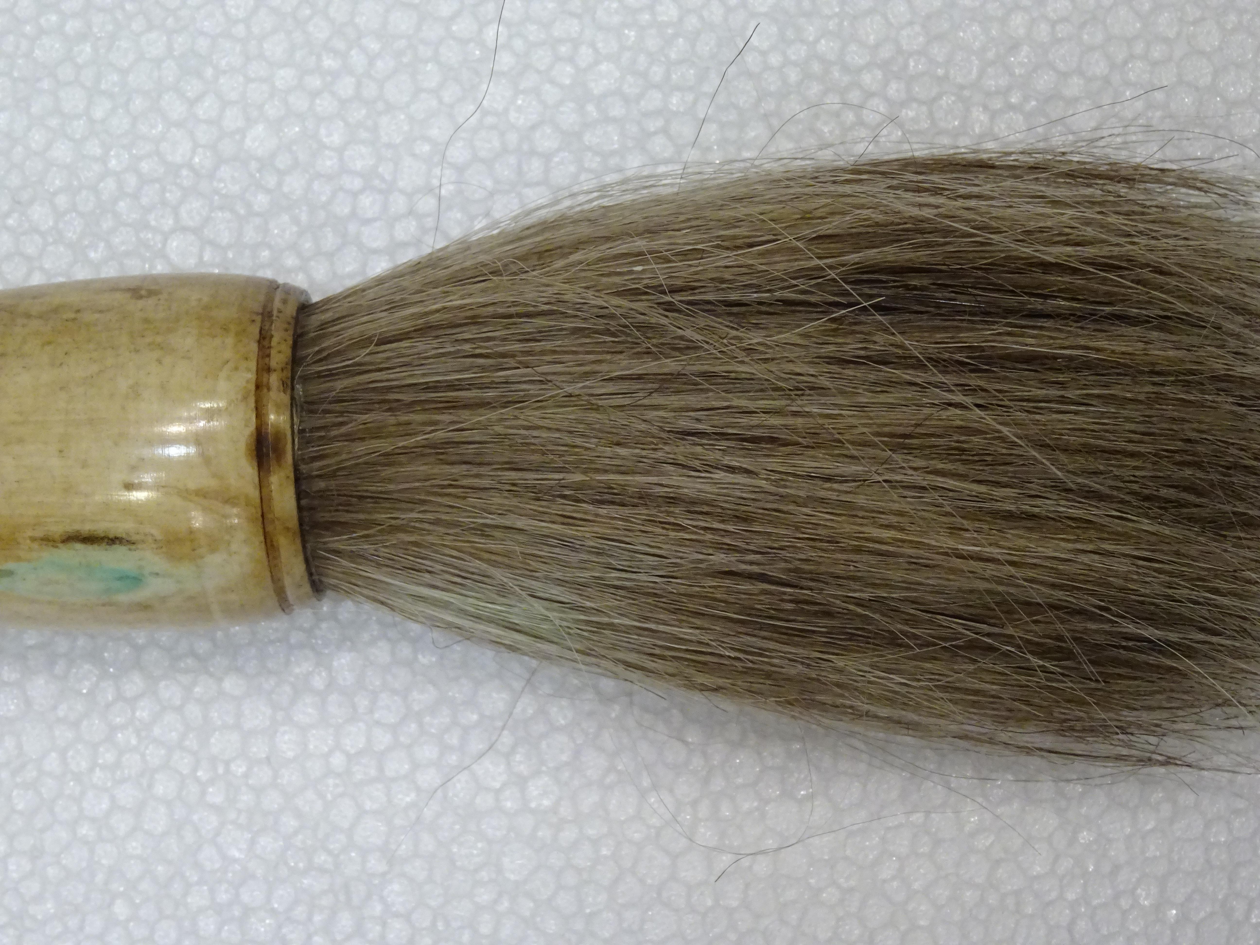 19th Century Chinese Carved Bone and Horsehair Brush 15