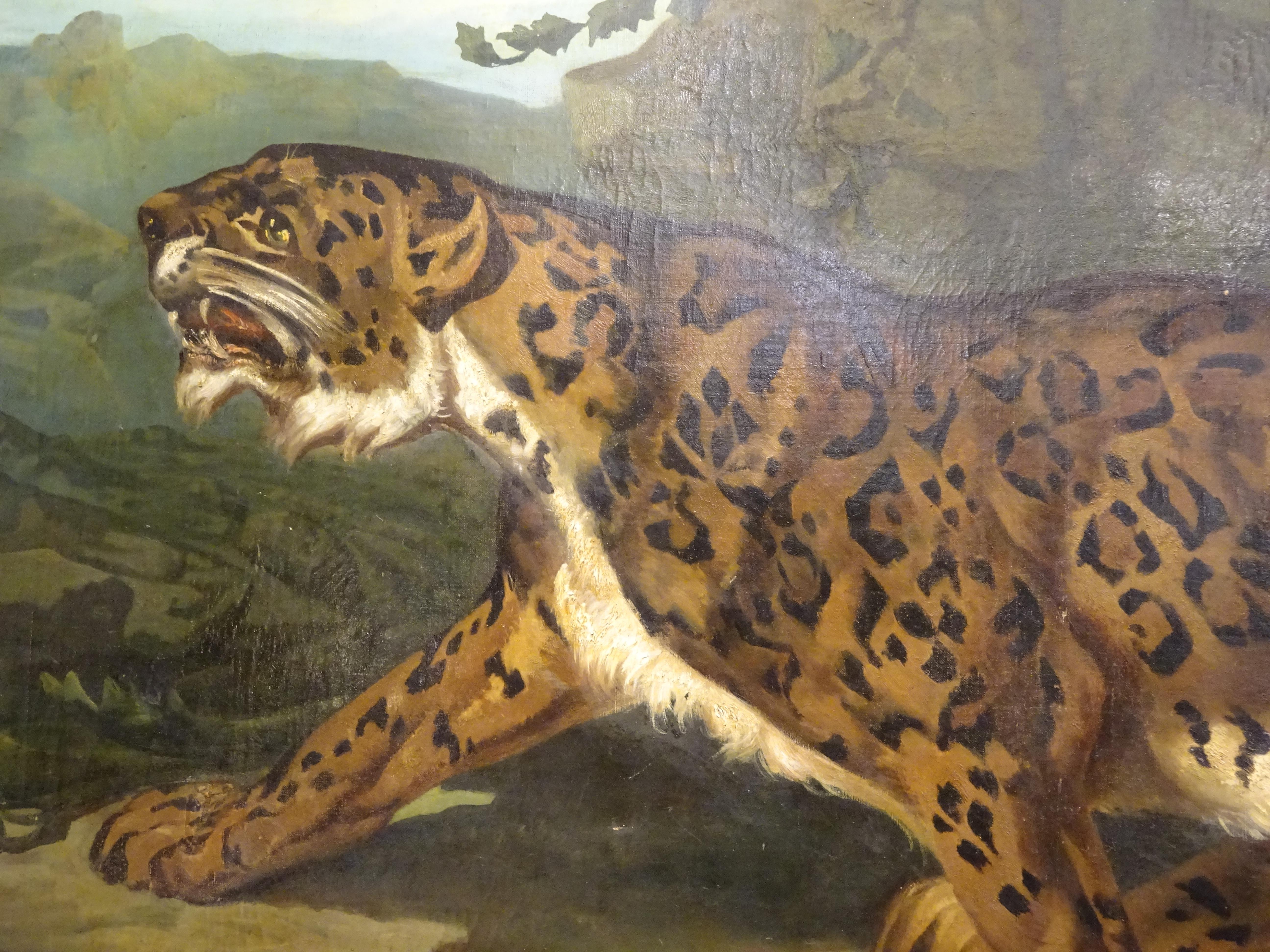 19th Century French Large Painting, Leopard, Oil on Canvas, Signed 6