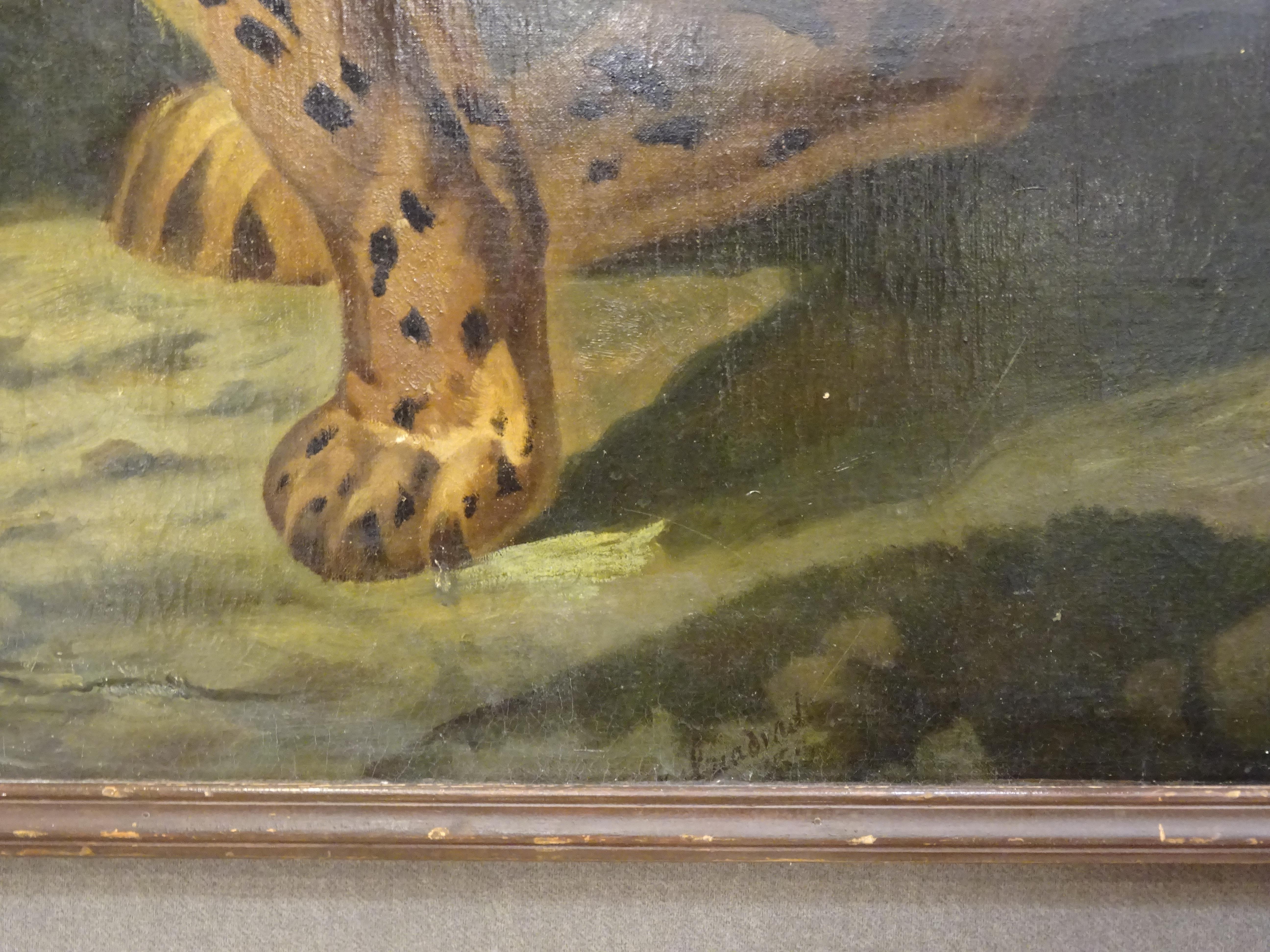 Oil on French canvas, Leopard S.XIX.

One of a Kind pictorial work of French origin belonging to the 19th century. He belongs to the French naturalist school, specializing in the creation of works of great realistic character. The painting