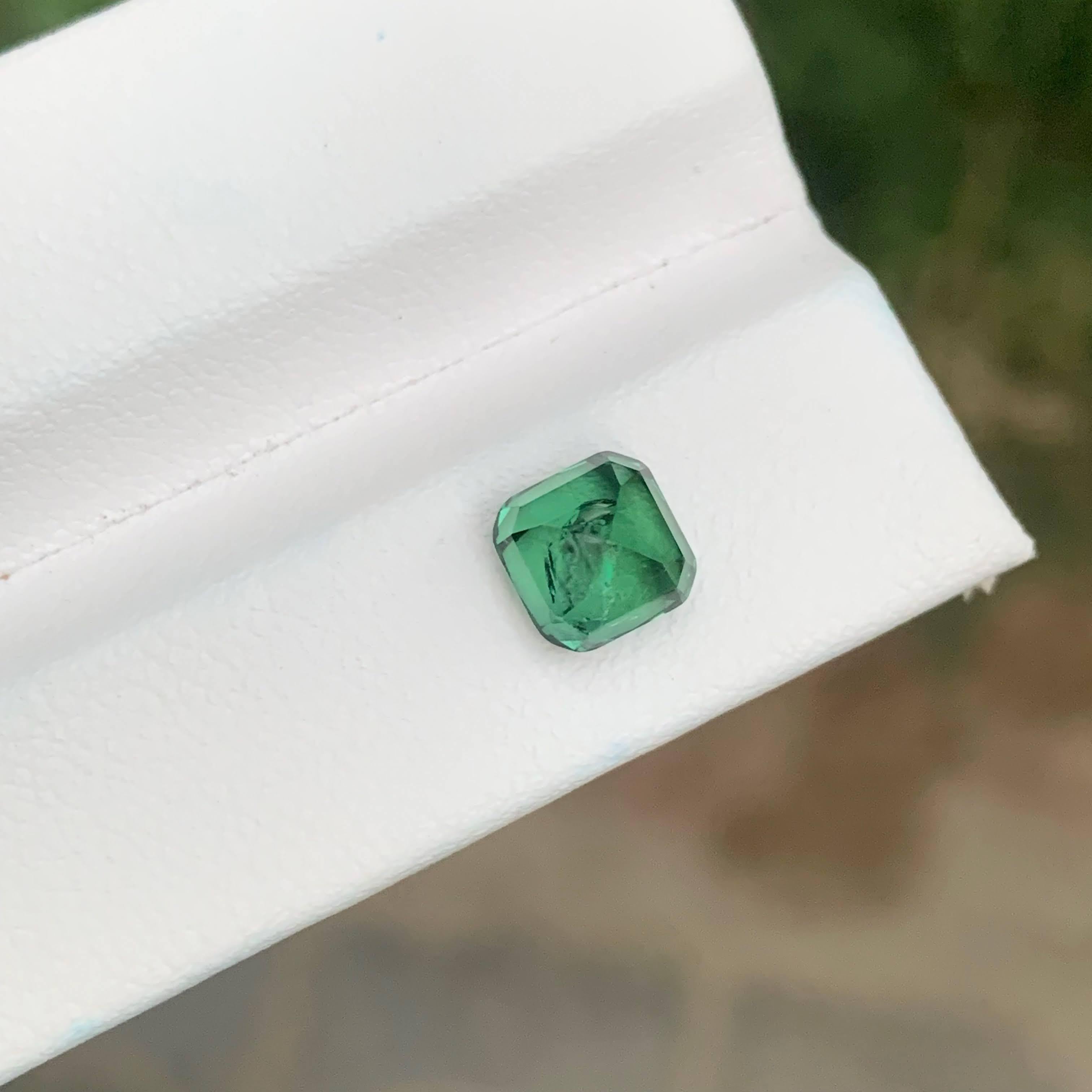 Gewicht 1,90 Karat
Abmessungen 6.5x6.4x5.6mm
Behandlung Keine
Herkunft Afghanistan
Klarheit  SI
Form Schnitt Kissen
NA



Dieser natürliche grüne Turmalin von 1,90 Karat ist ein lebhafter und eleganter Edelstein mit einem satten waldgrünen Farbton,