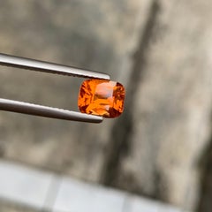 1.90 Carat Natural Loose Colour Change Garnet Cushion Cut Gemstone From Tanzania
